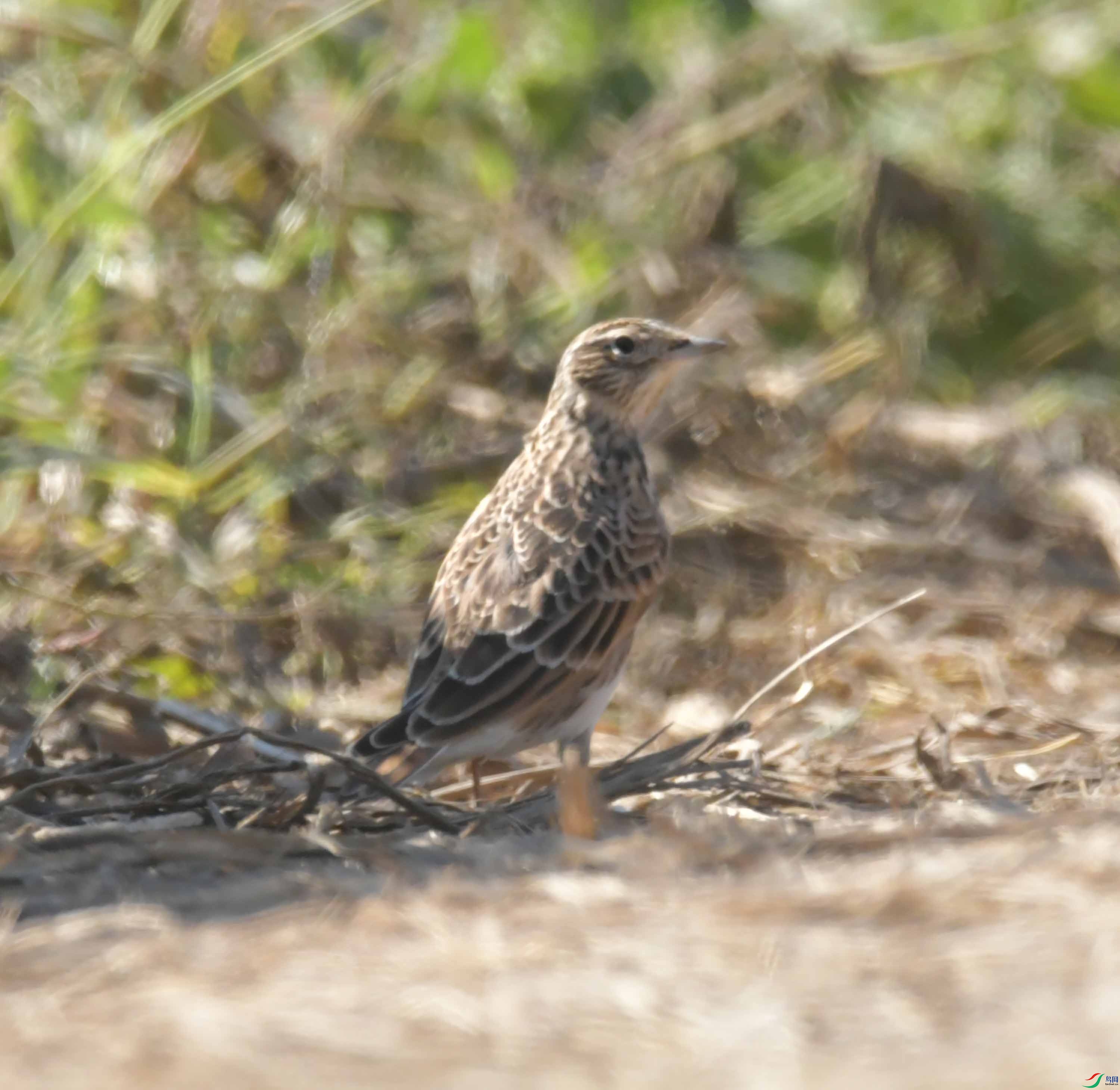 DSC_8859.JPG