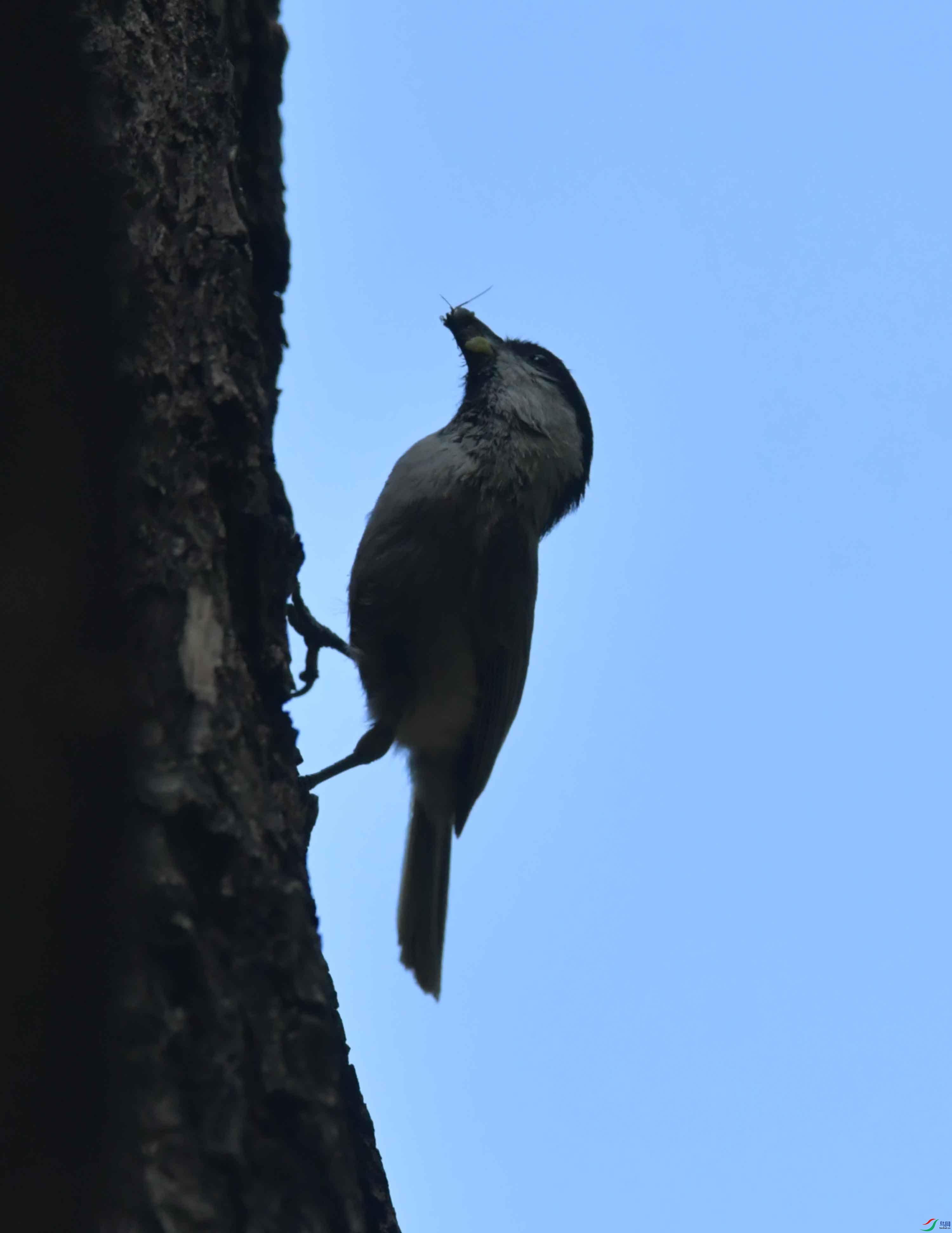 DSC_1482.JPG