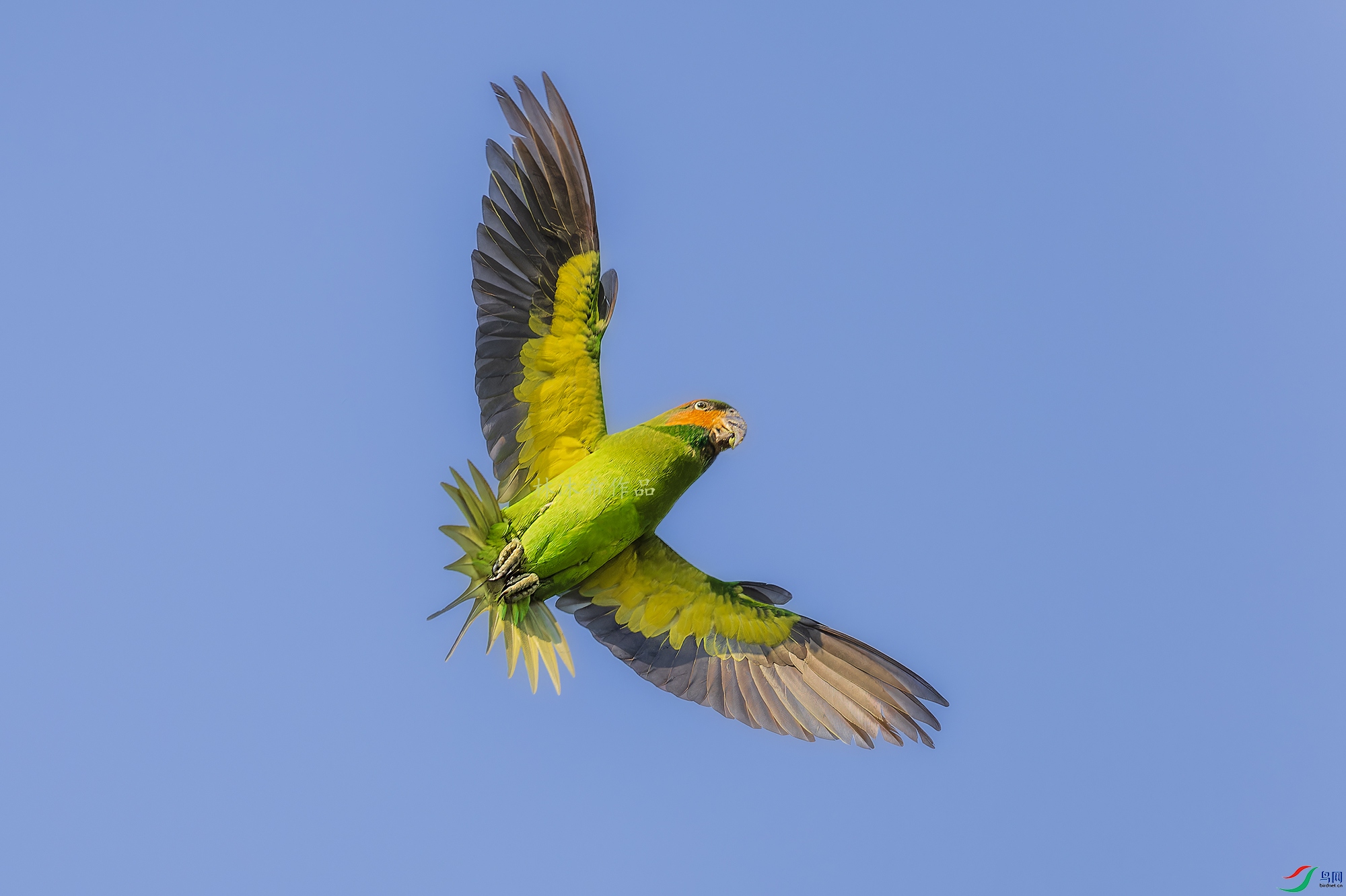 _97A6967-CR3 copy.jpg