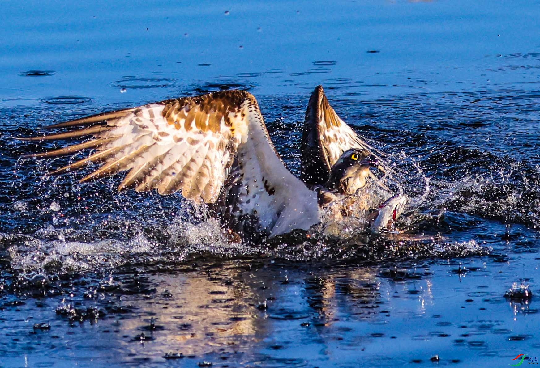 ץ���ˮ˲��4 ����.jpg