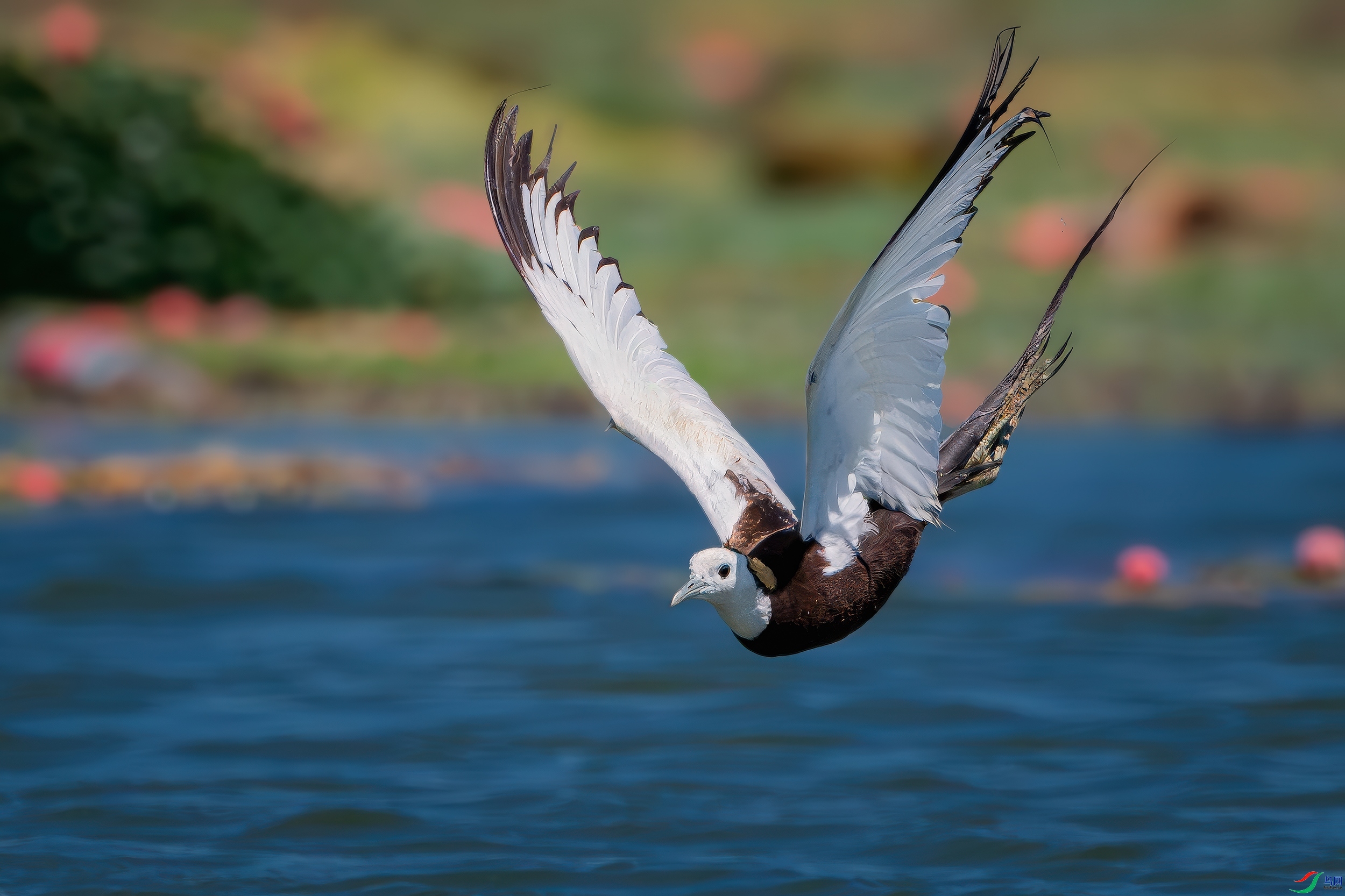 ����  ���� ����Ӱ  ��һ.jpg