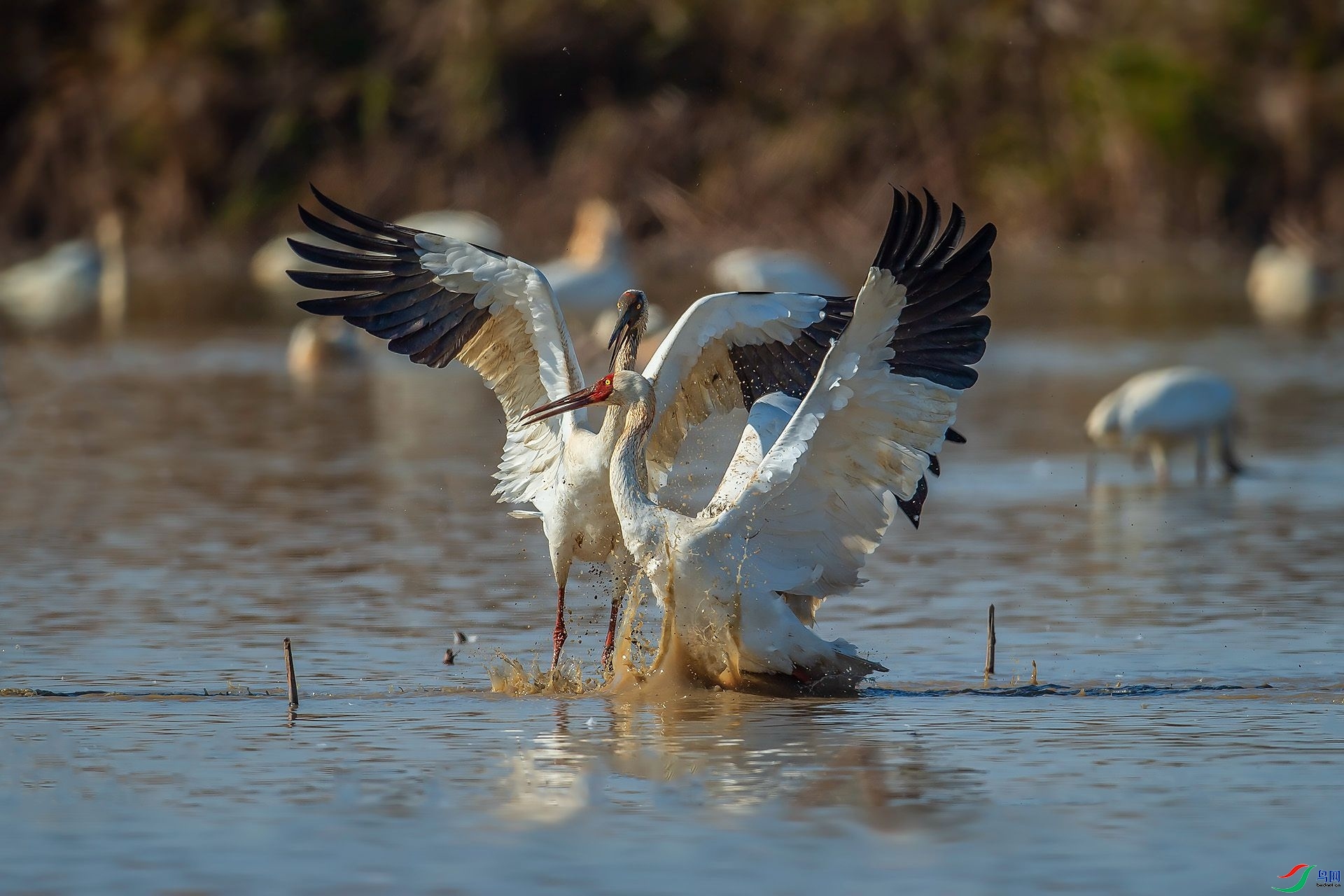 ��  ���� ��ѧ�� ��һ.jpg