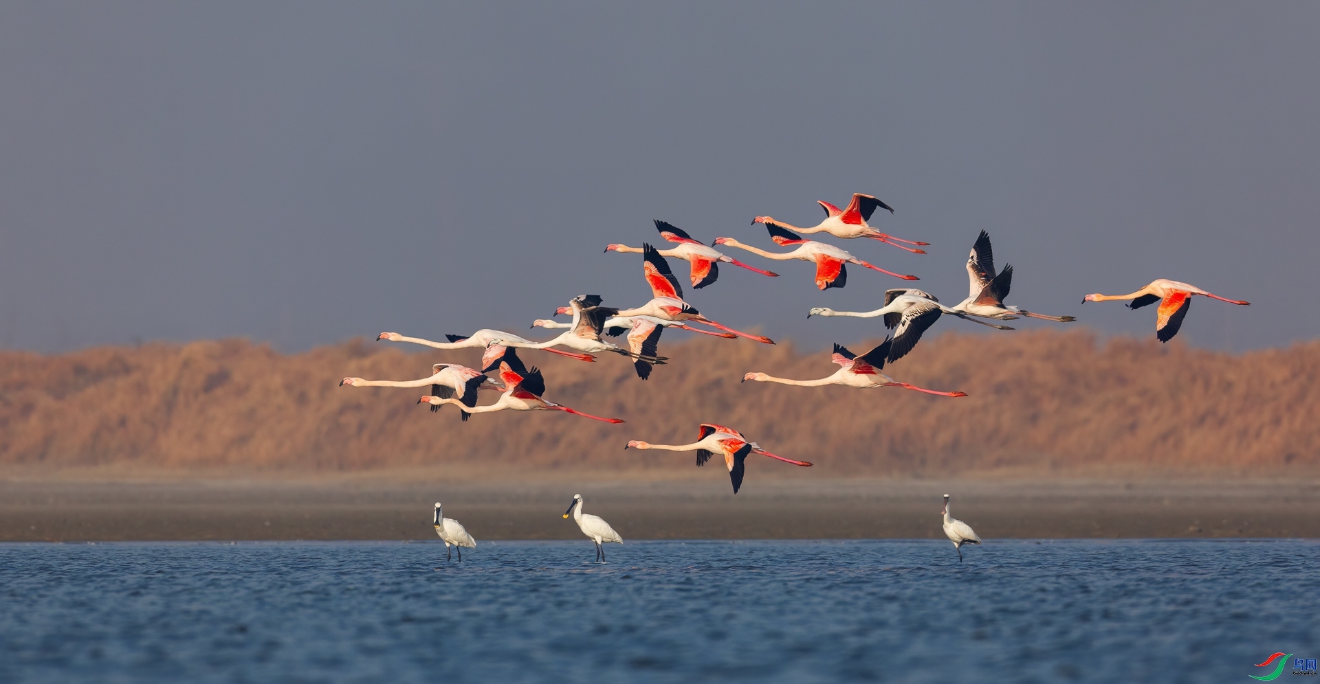 Ⱥ�� ���� �ܷ�  �ܶ�.jpg