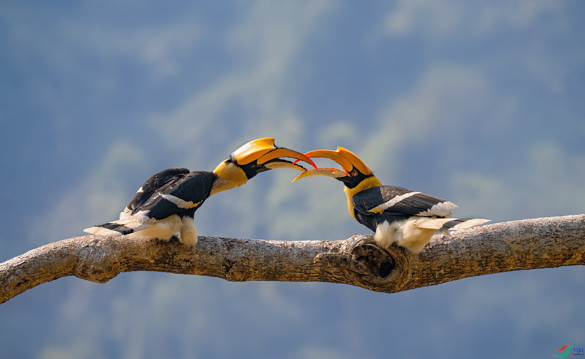 �㰮 ���� ��������  ����.jpg