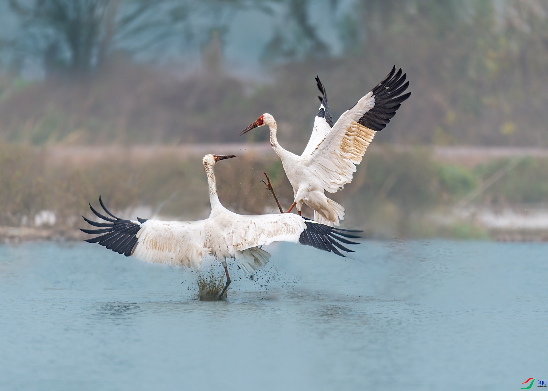 һ�Բ��Ͼ͸ɼ� ���� �ܴ�99  ����.jpg