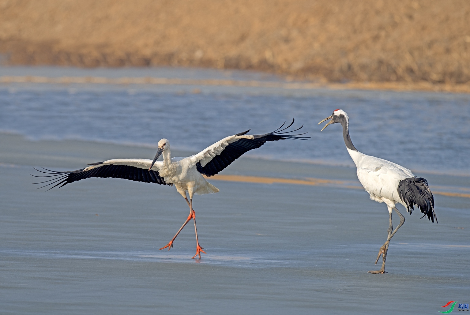 ������ ��������  ���� ������ǰ ����.jpg