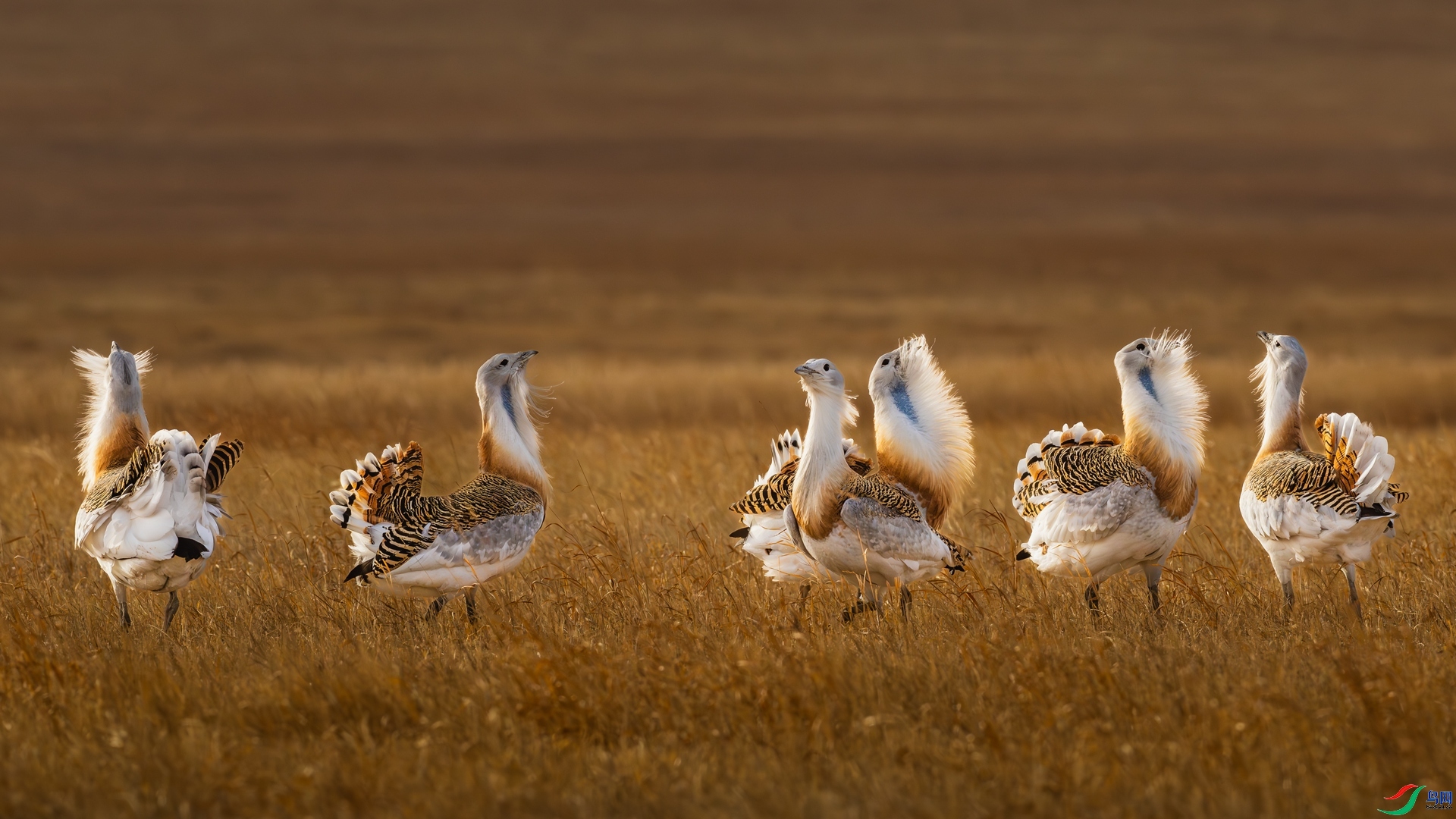 ����ĵȴ� ���� ����.jpg