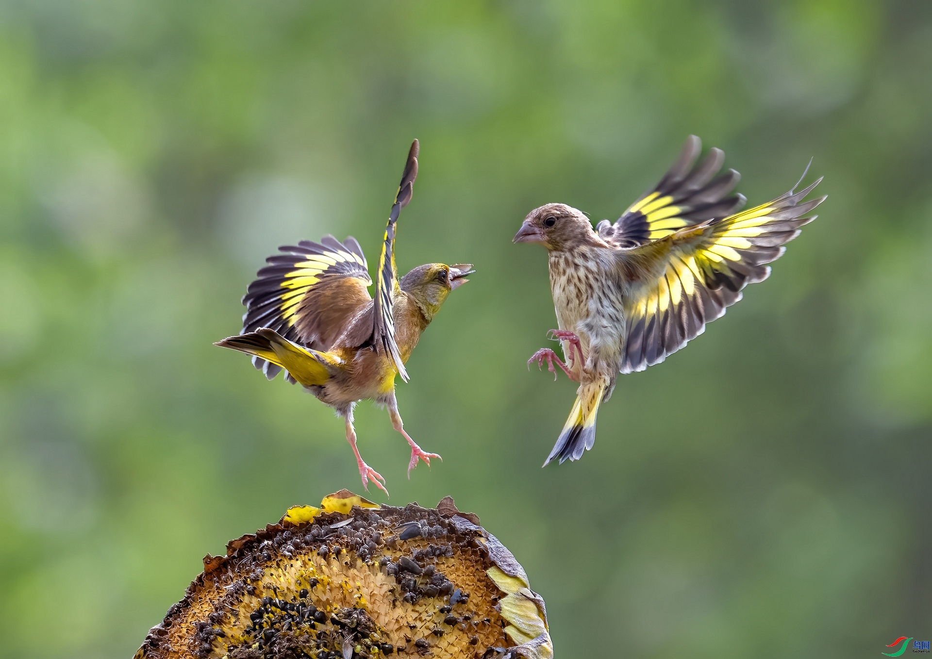 ���� ���� ������  ����.jpg