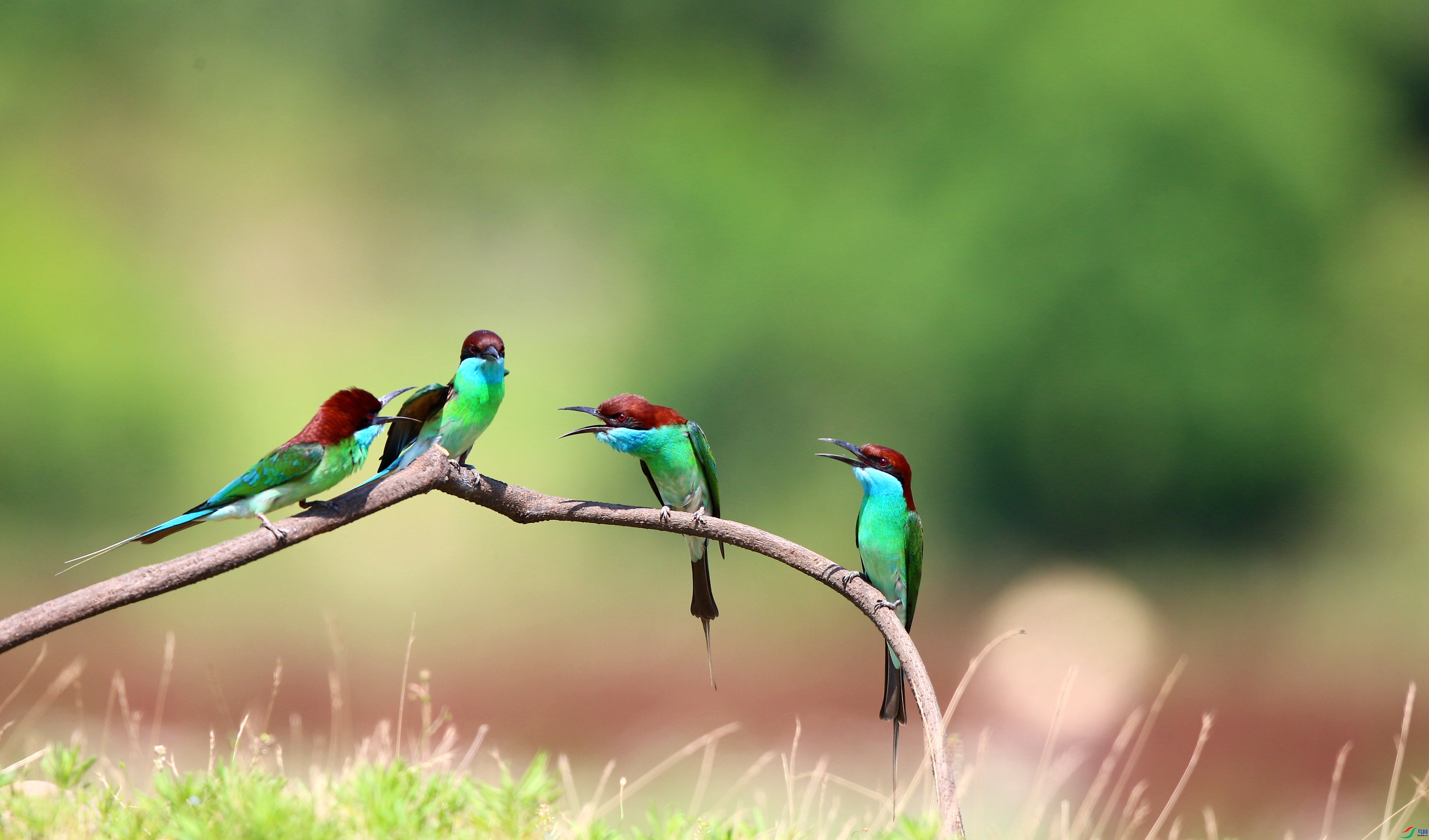 ��ִ  ���� ��Ƭ��� ����.jpg