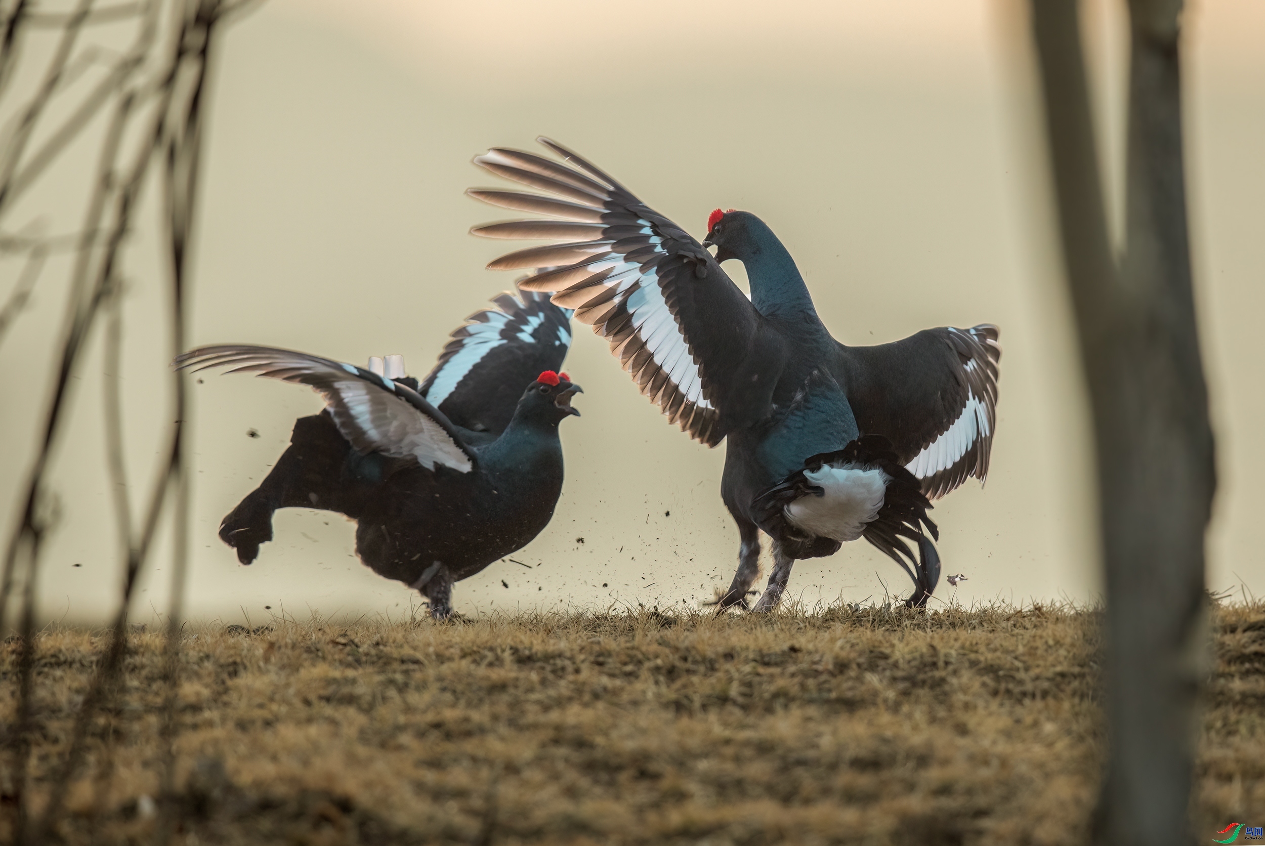 �峿����ս-���ټ�  ���� һ·���� ����.jpg