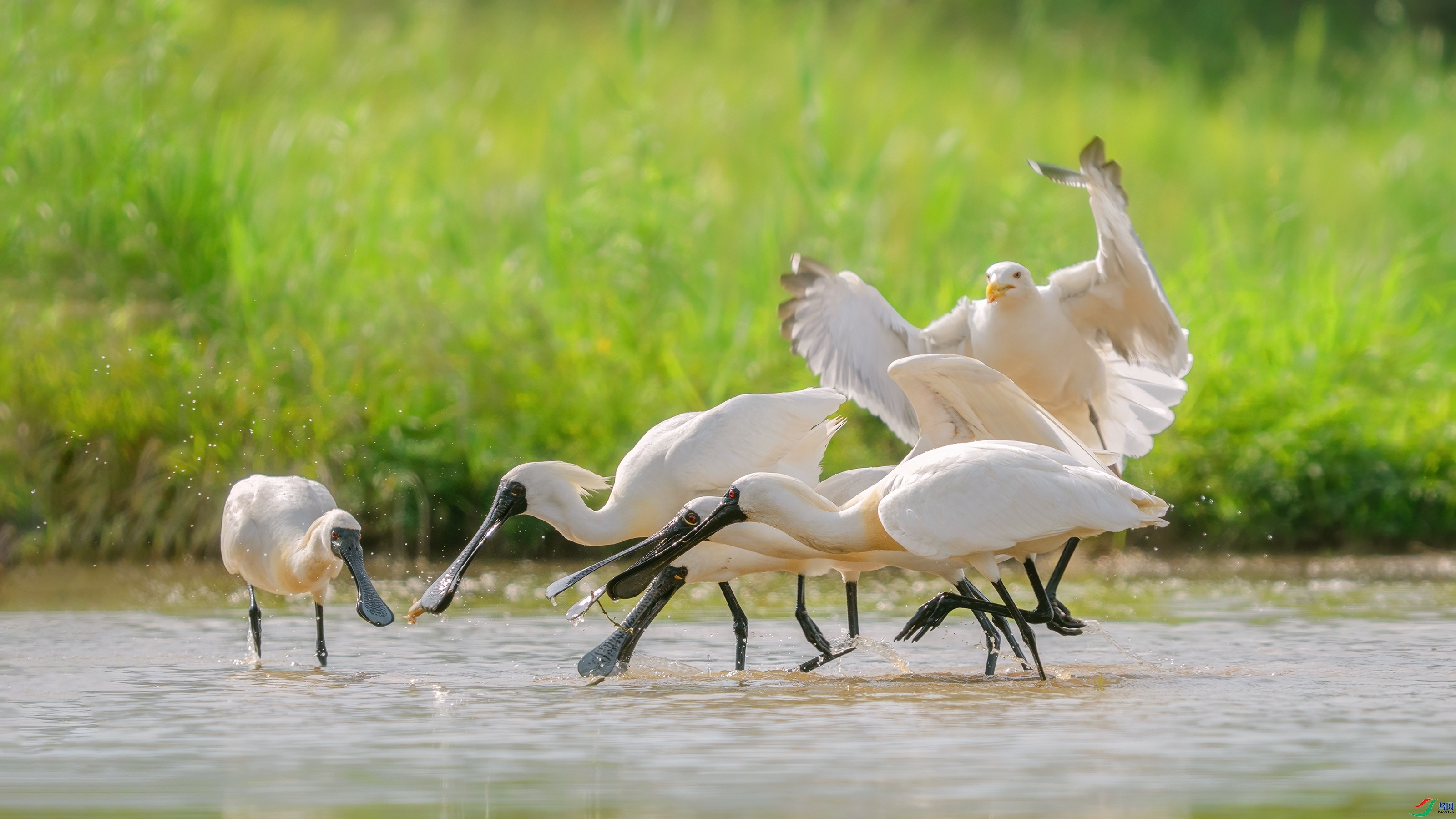 Ŀ��һ�� ���� С�׺� ����.jpg