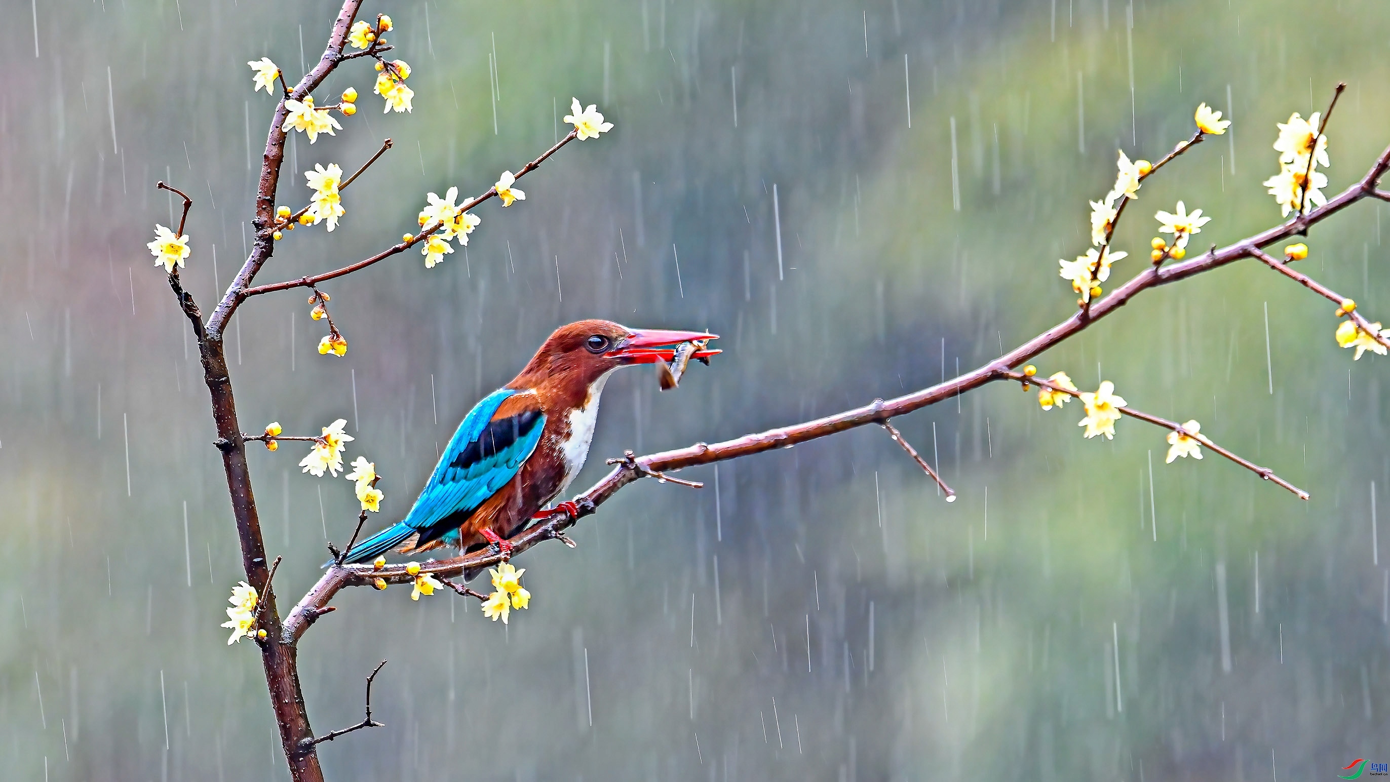 ������ ���� wh�ϳ� ����.jpg