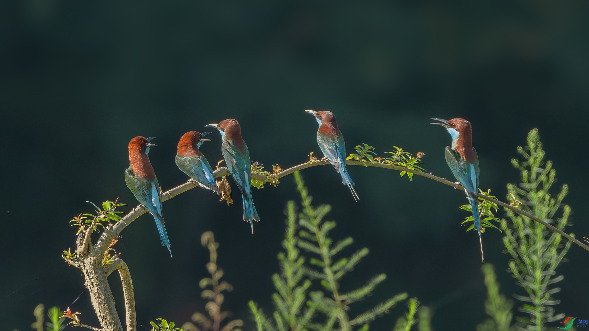 _DSC3380-����ǿ-NR ����_1.jpg