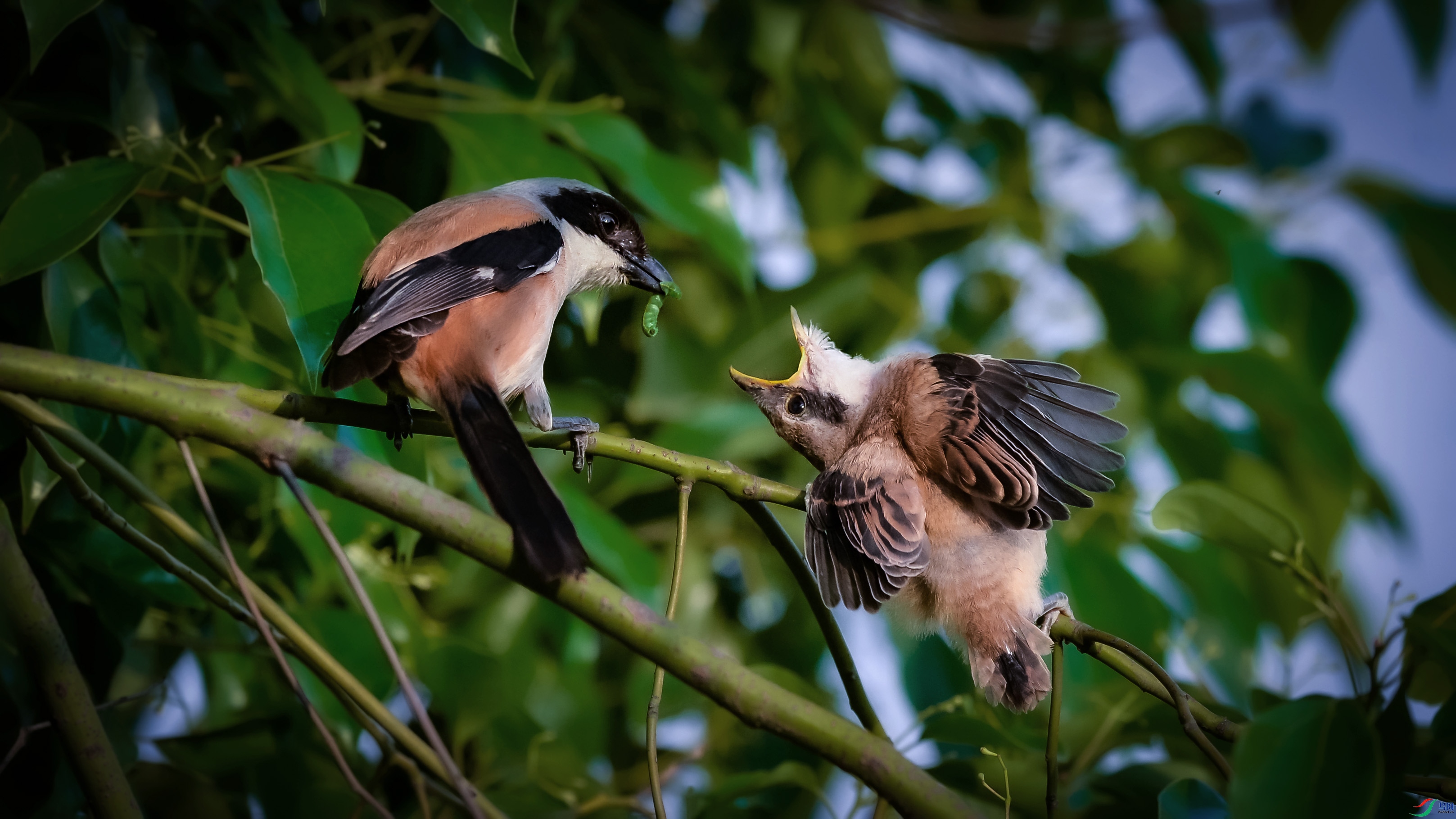 DSC_4167.jpg