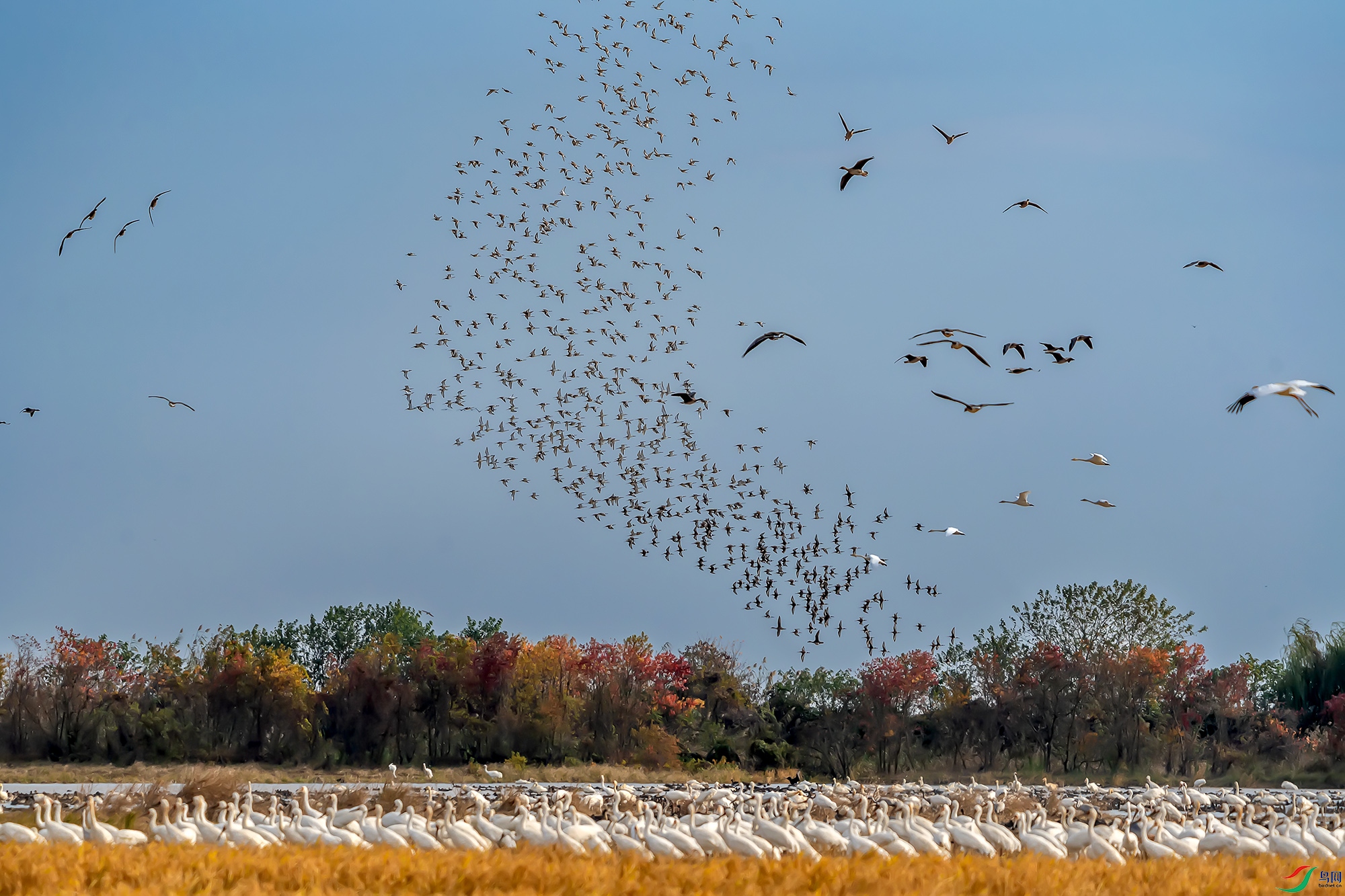 DSC07952a ����.jpg