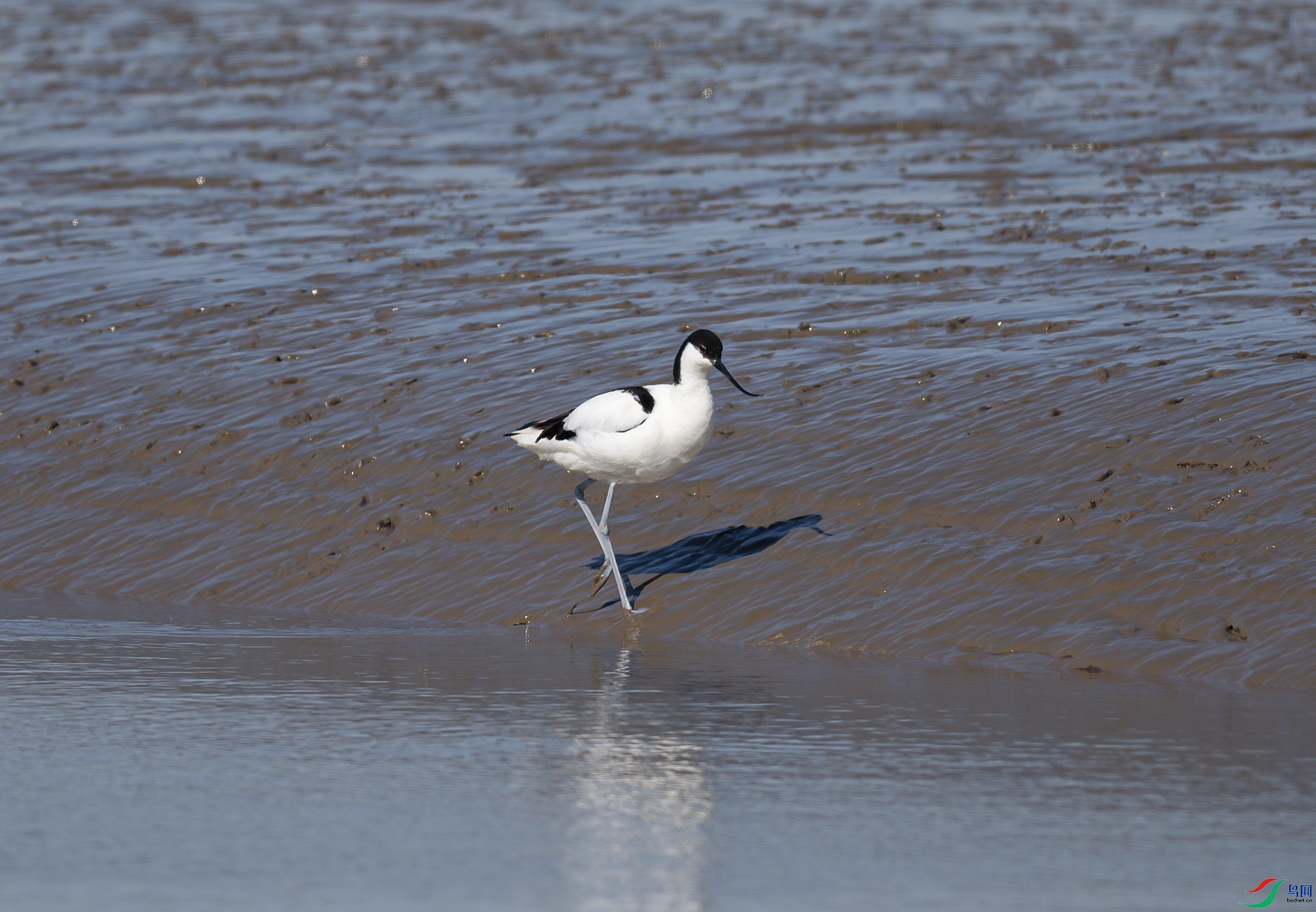 _DSC8129f.jpg