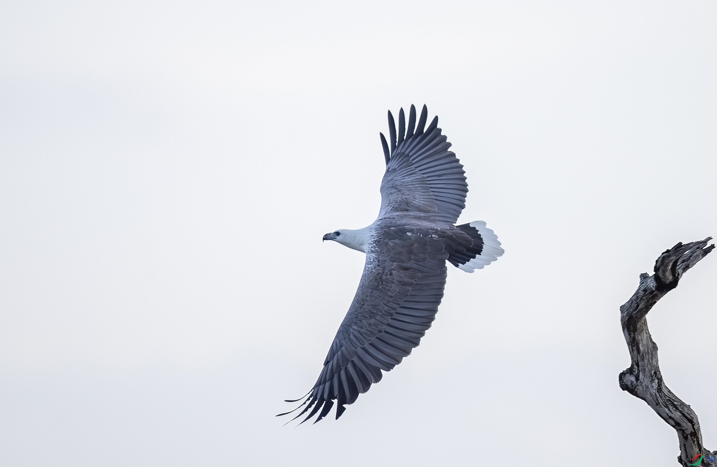 AC3I0542 ����.jpg