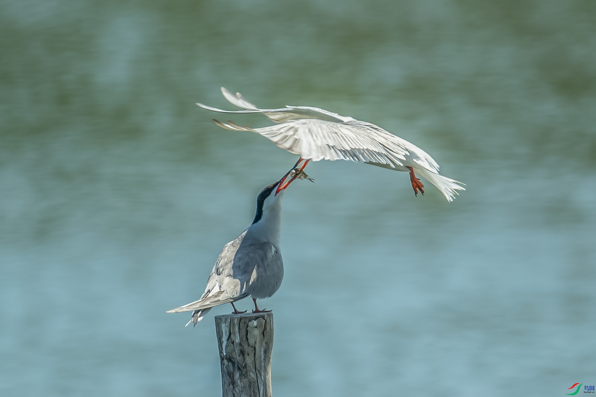 DSC_7186.jpg