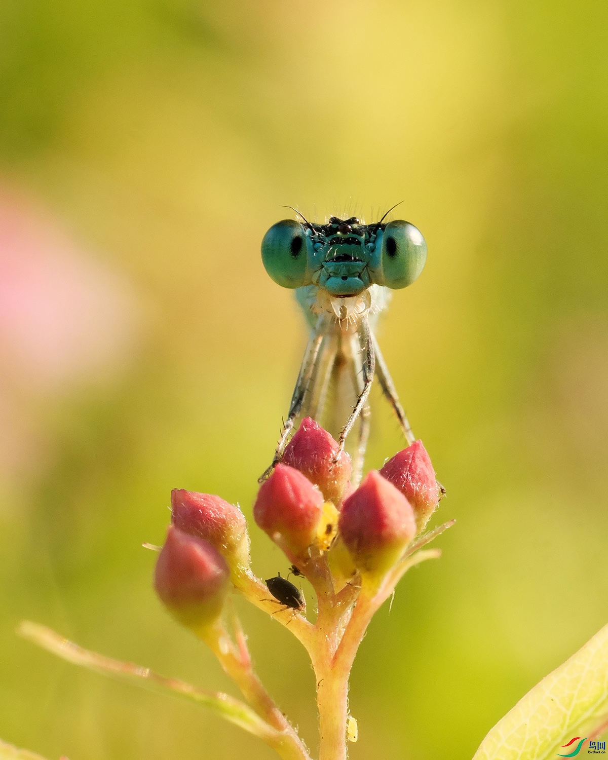 DSCF7430.jpg