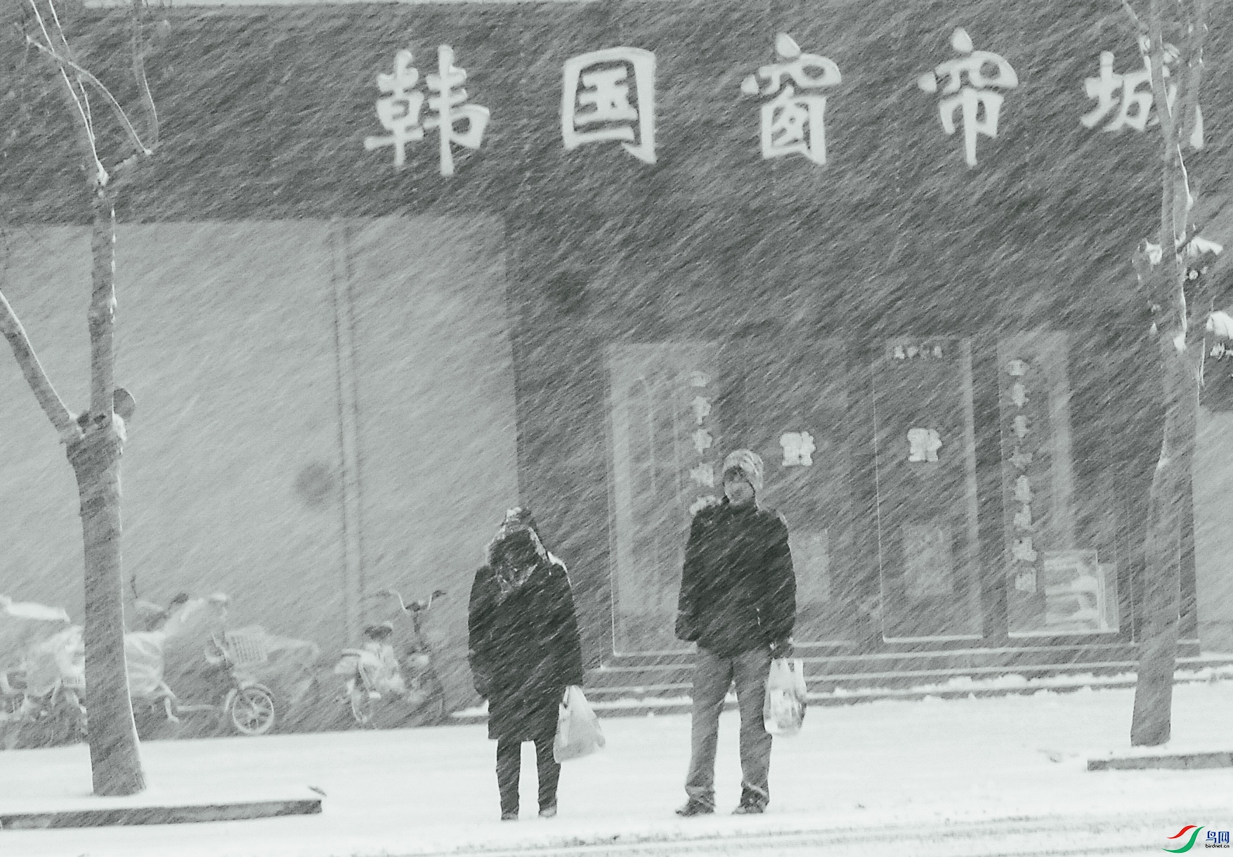 DSC_0003.jpg