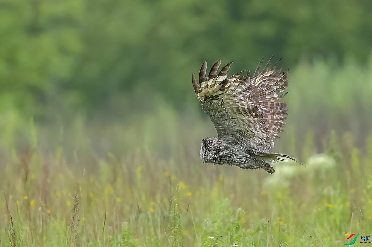 AC3I6809_���� ����.jpg