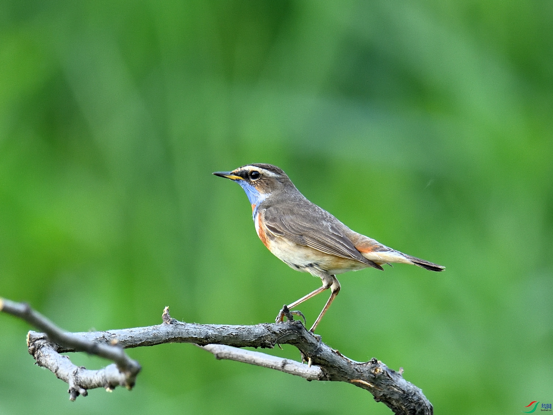 DSC_9710.JPG