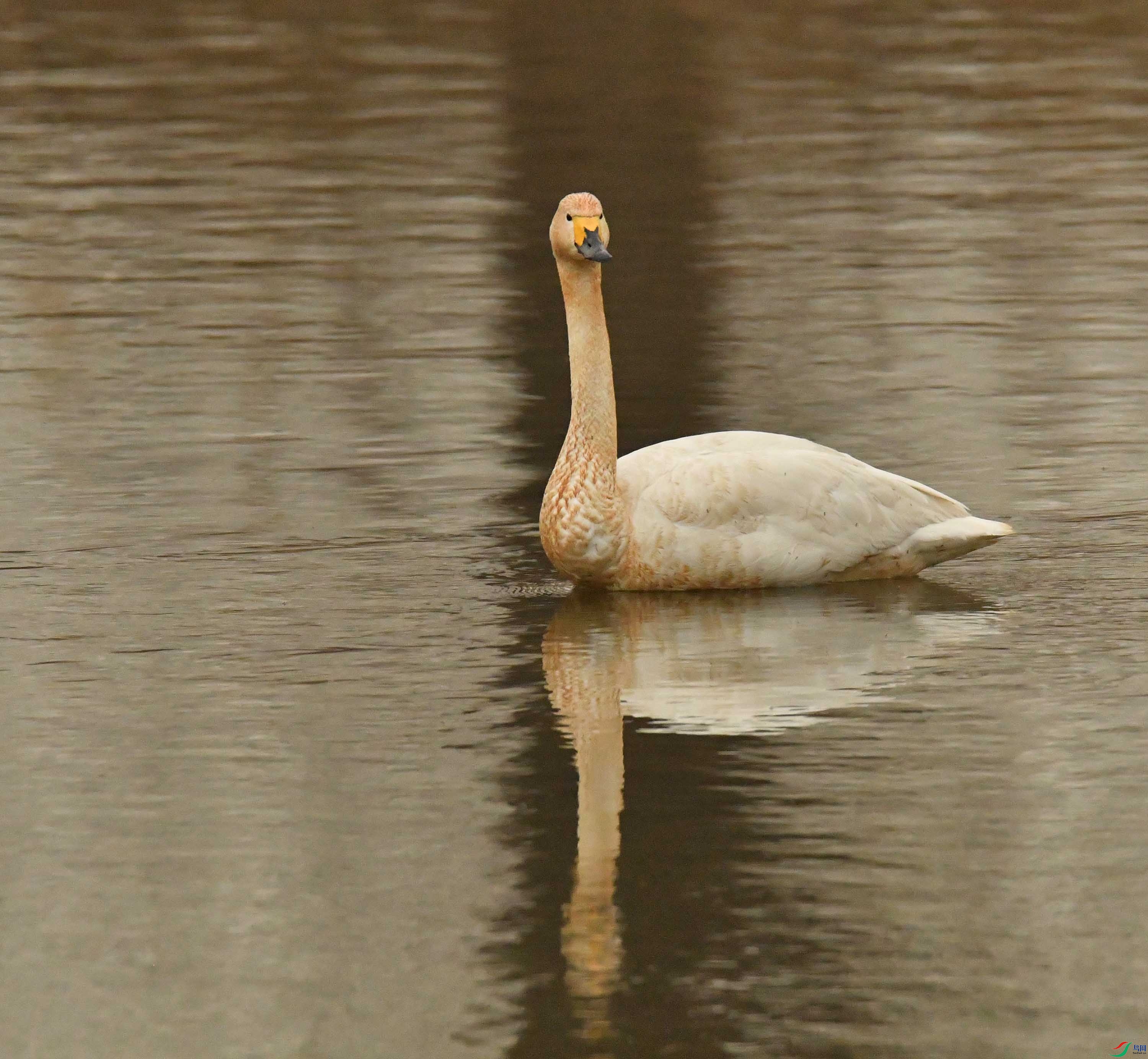 DSC_0726.JPG