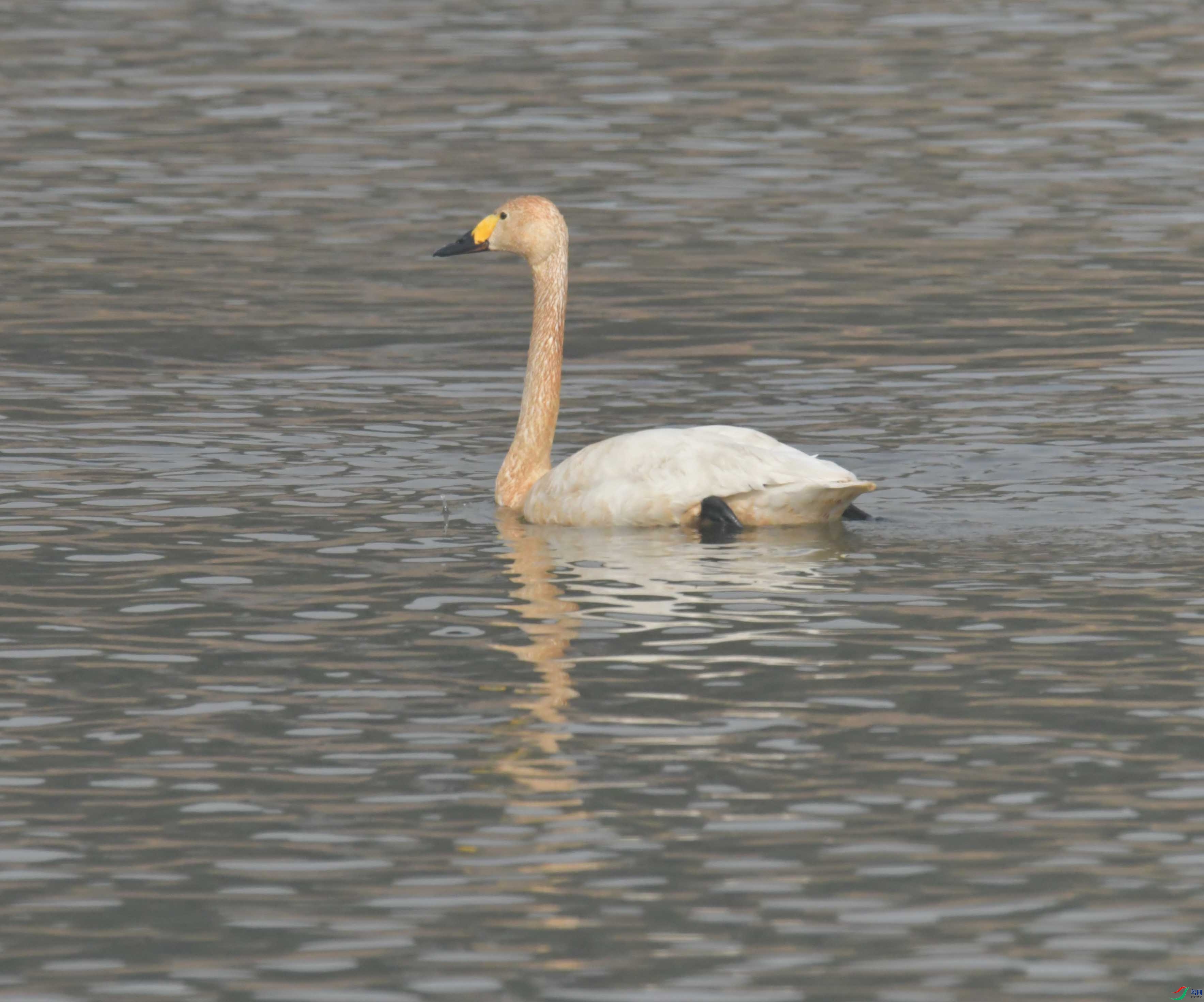 DSC_2496.JPG