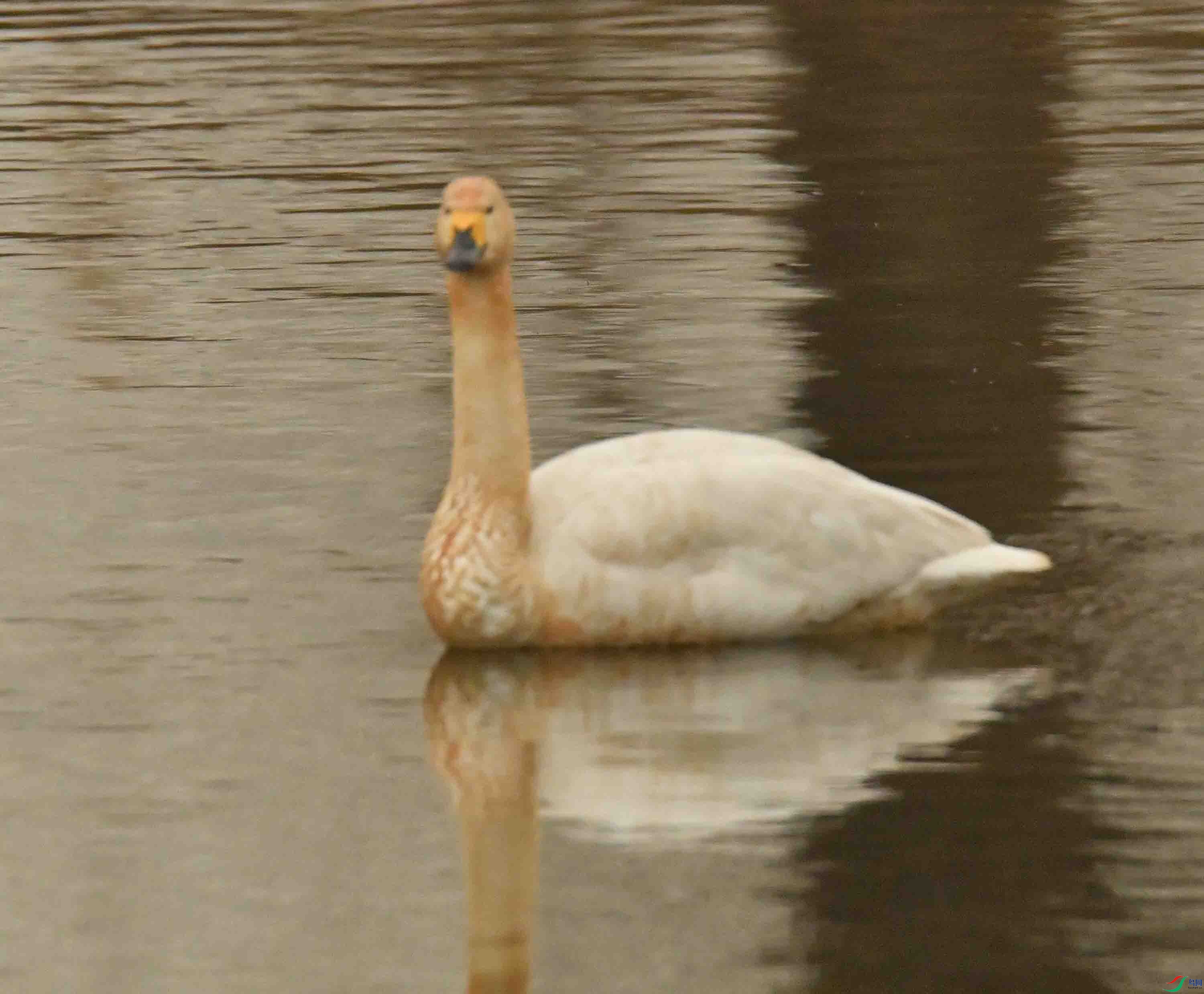 DSC_0736.JPG