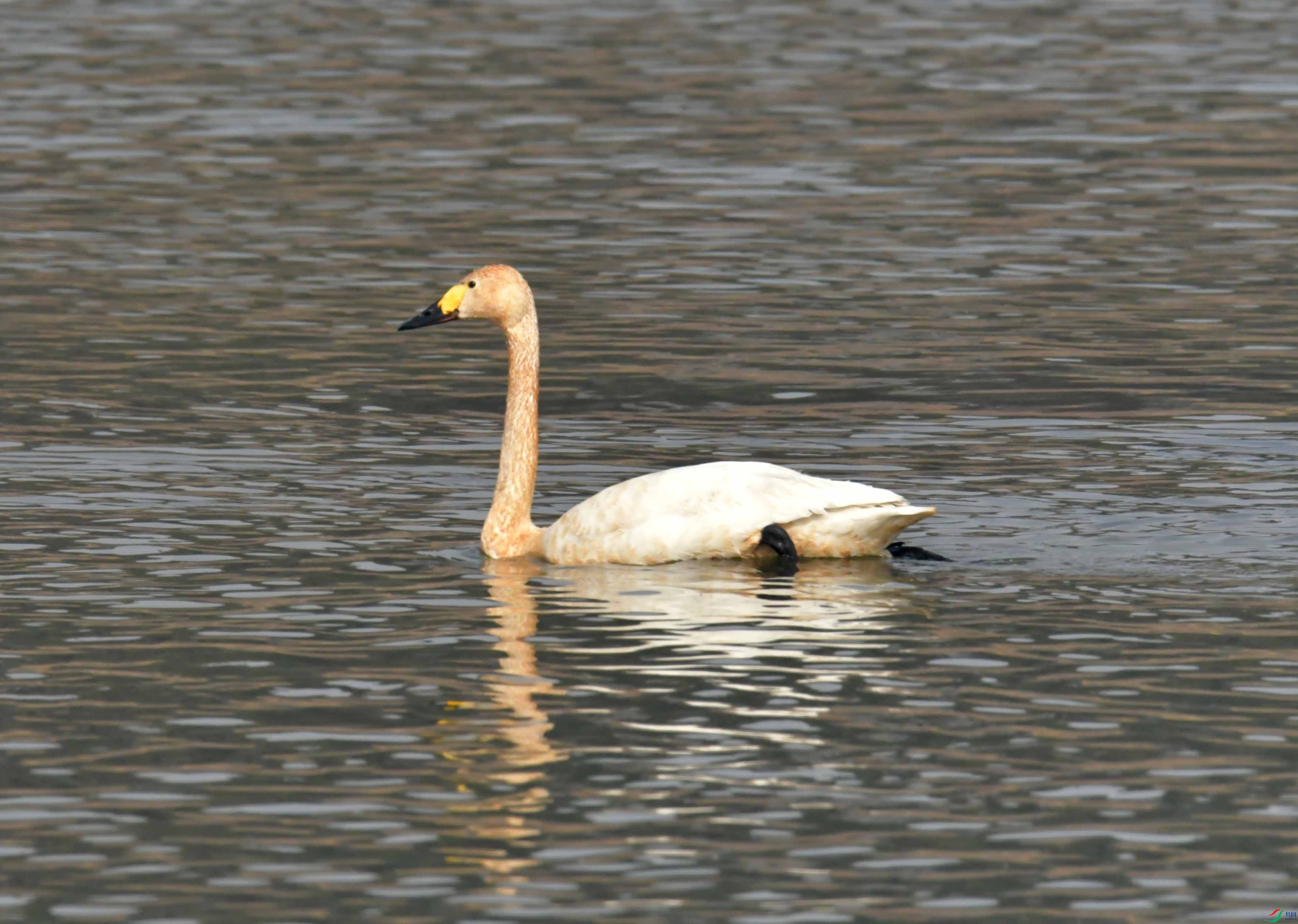 DSC_2498.JPG