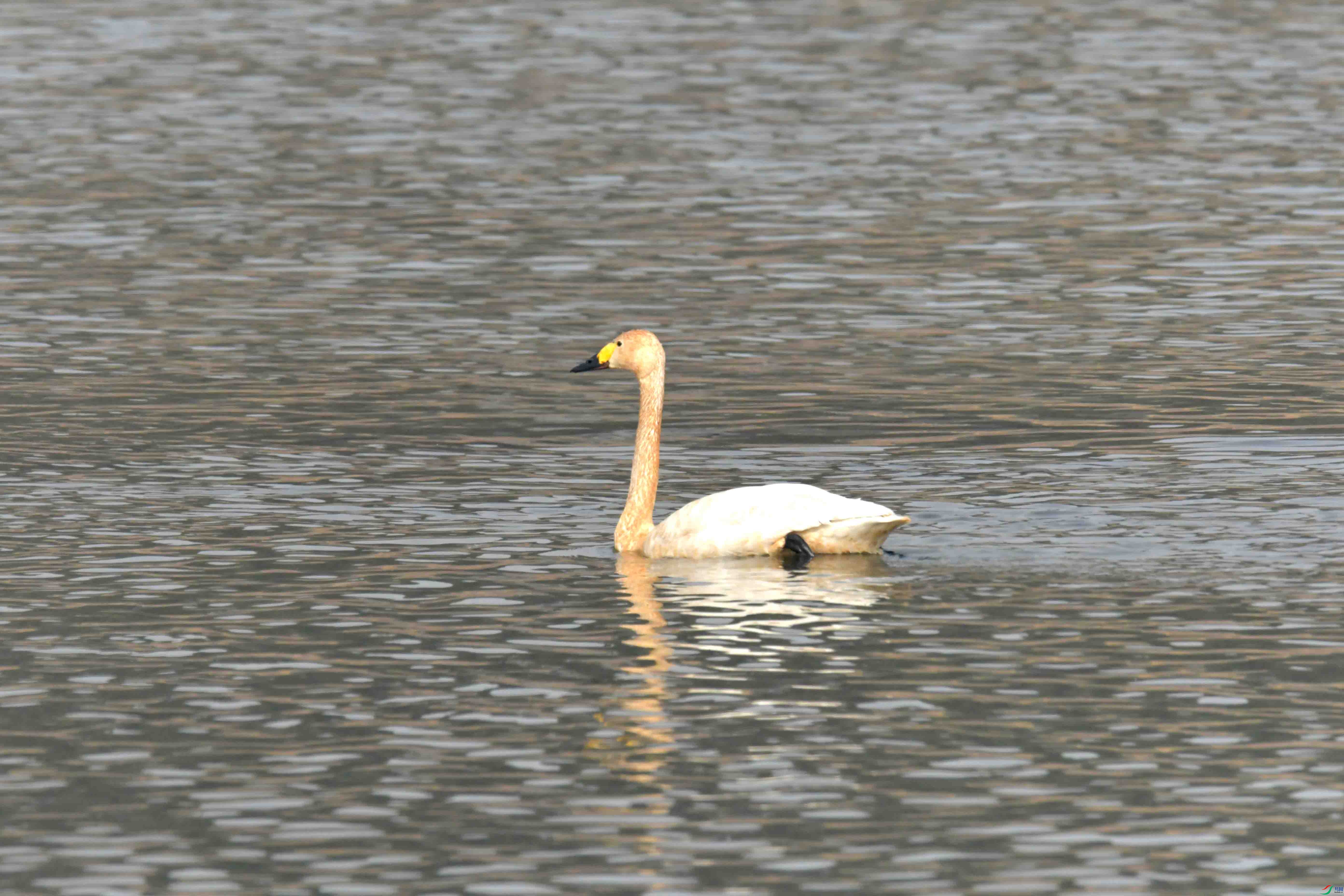 DSC_2497.JPG