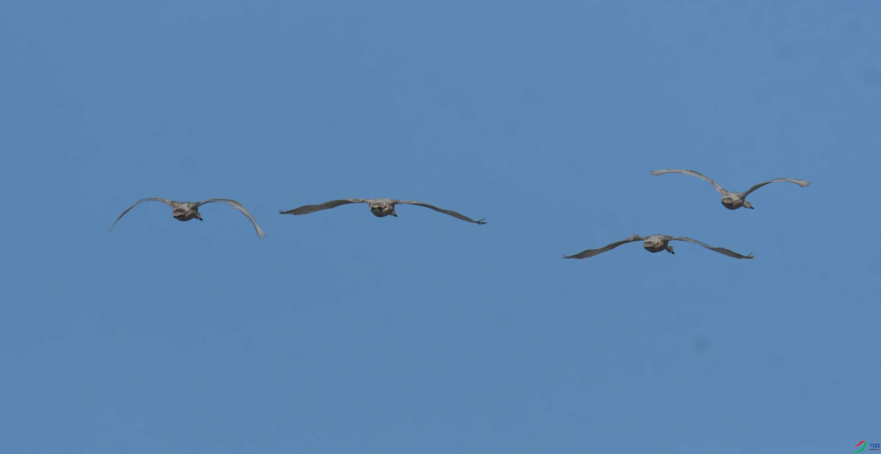 DSC_4014.JPG