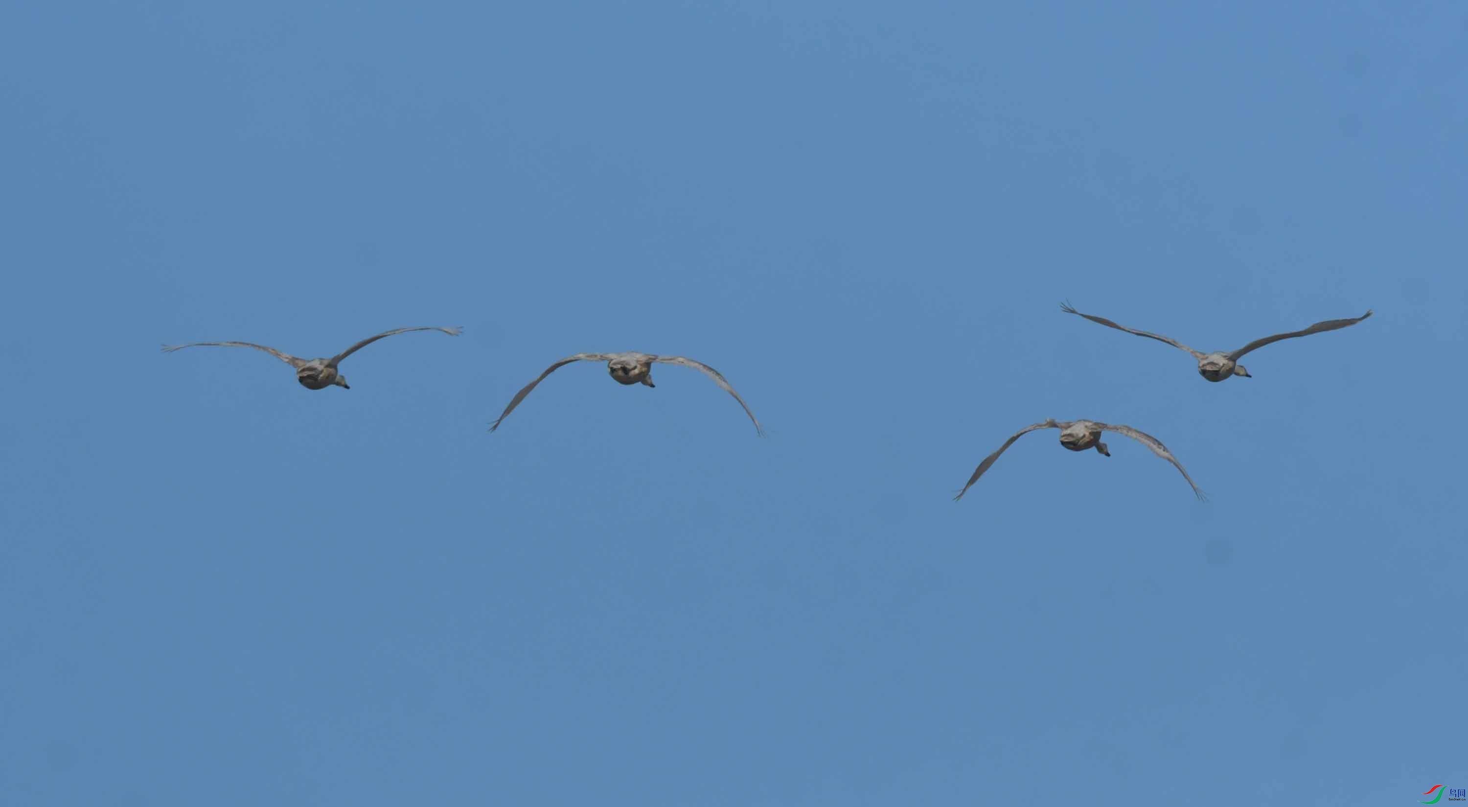 DSC_4012.JPG
