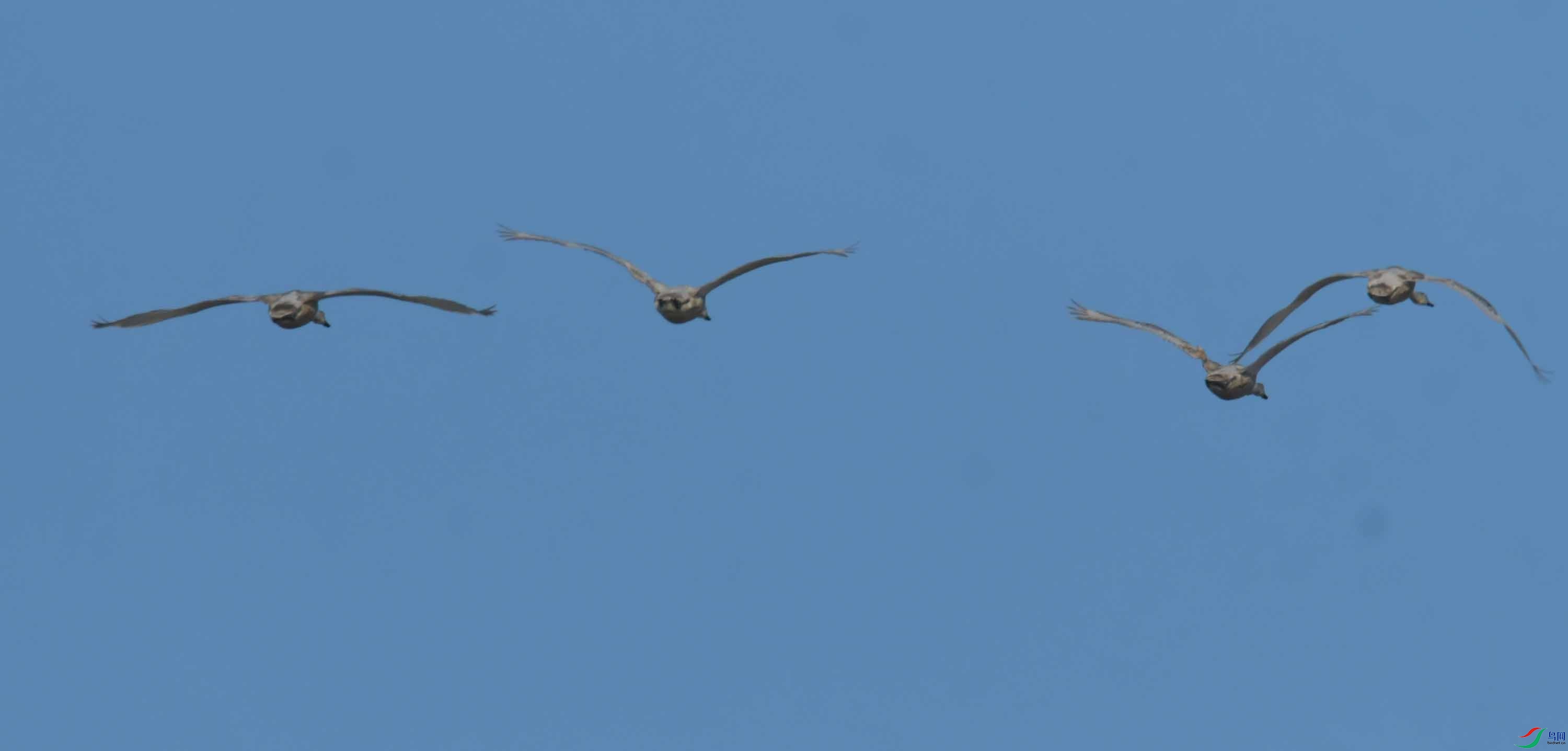 DSC_4013.JPG