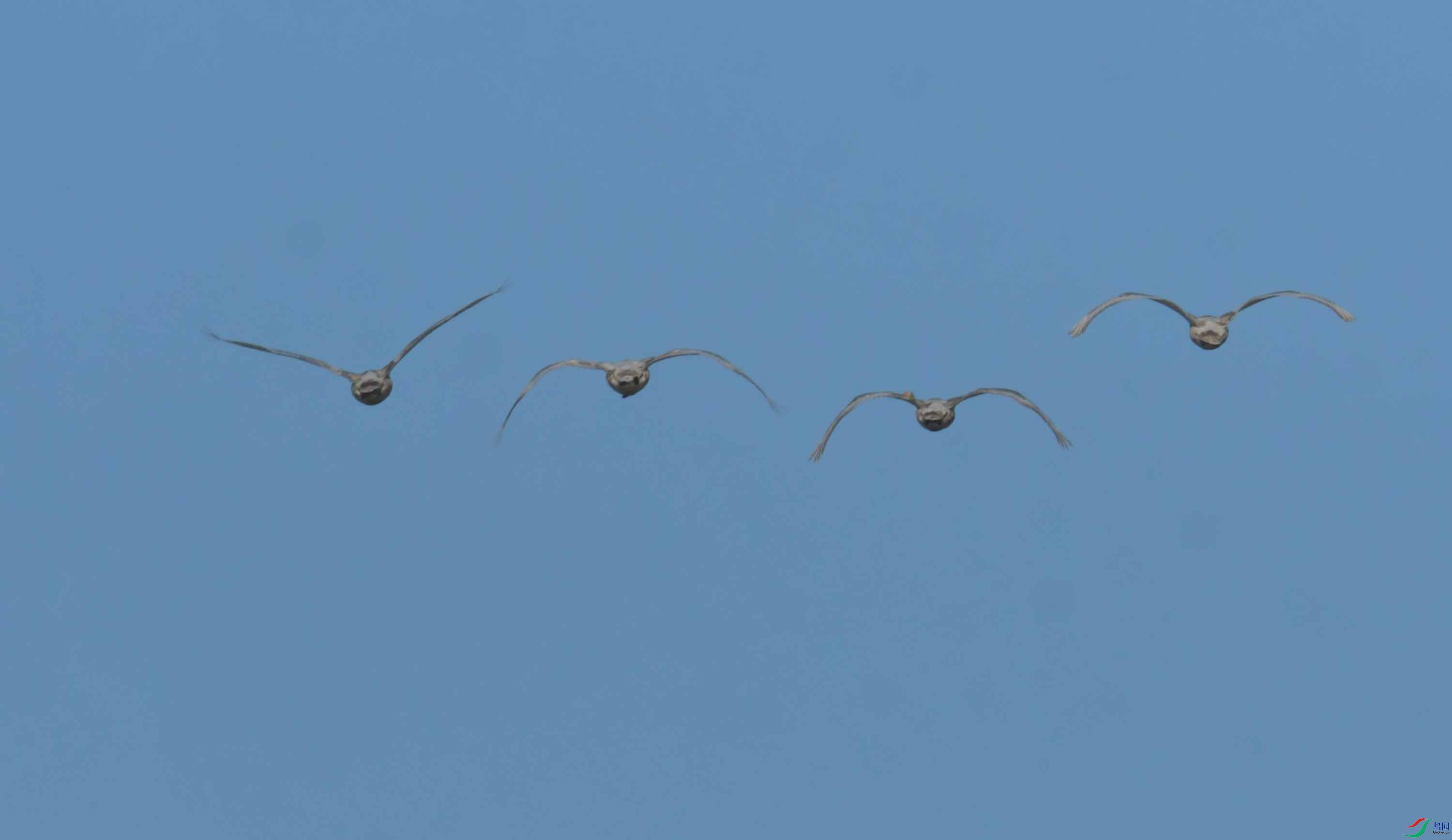 DSC_4020.JPG