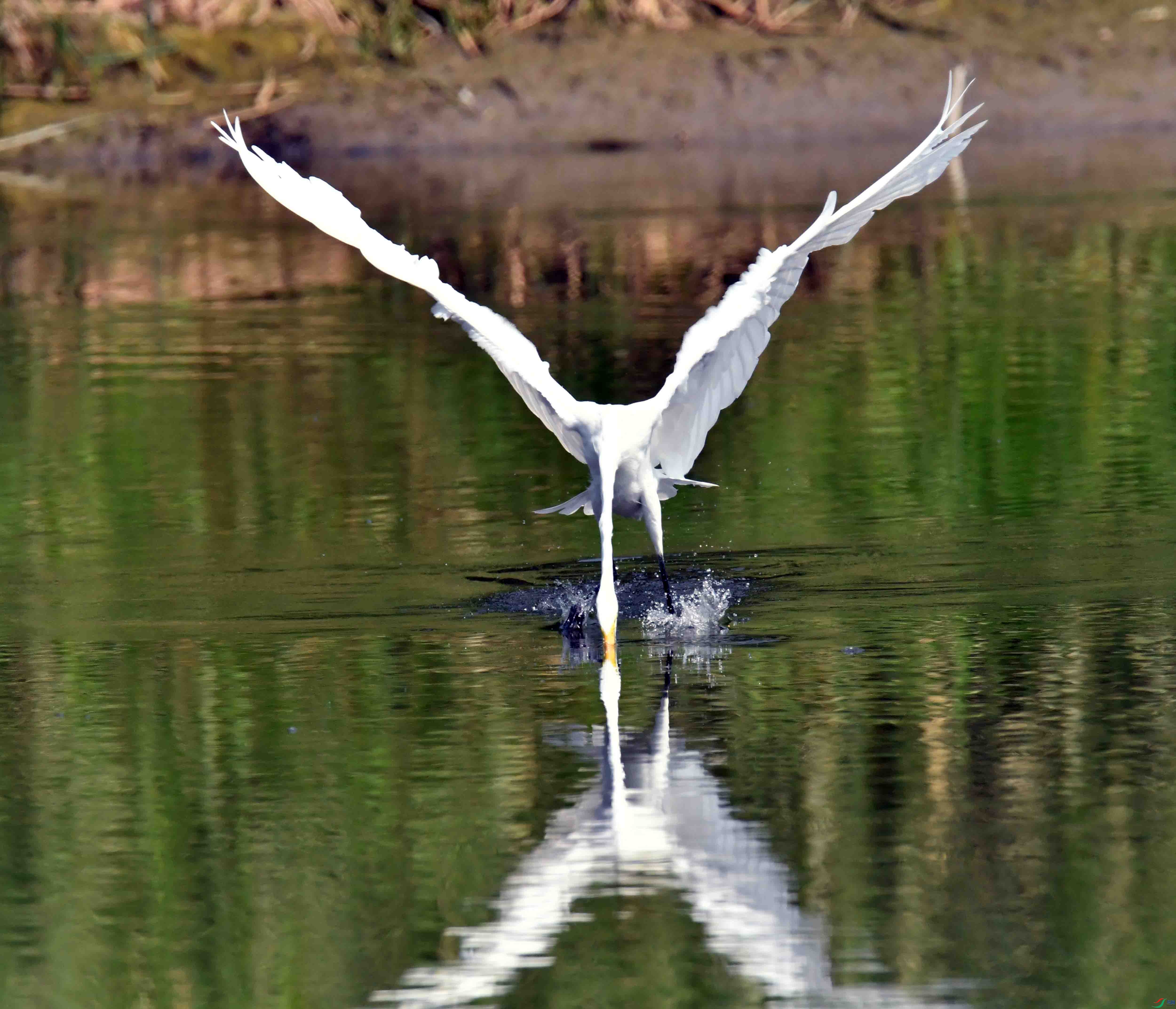 DSC_0568.JPG