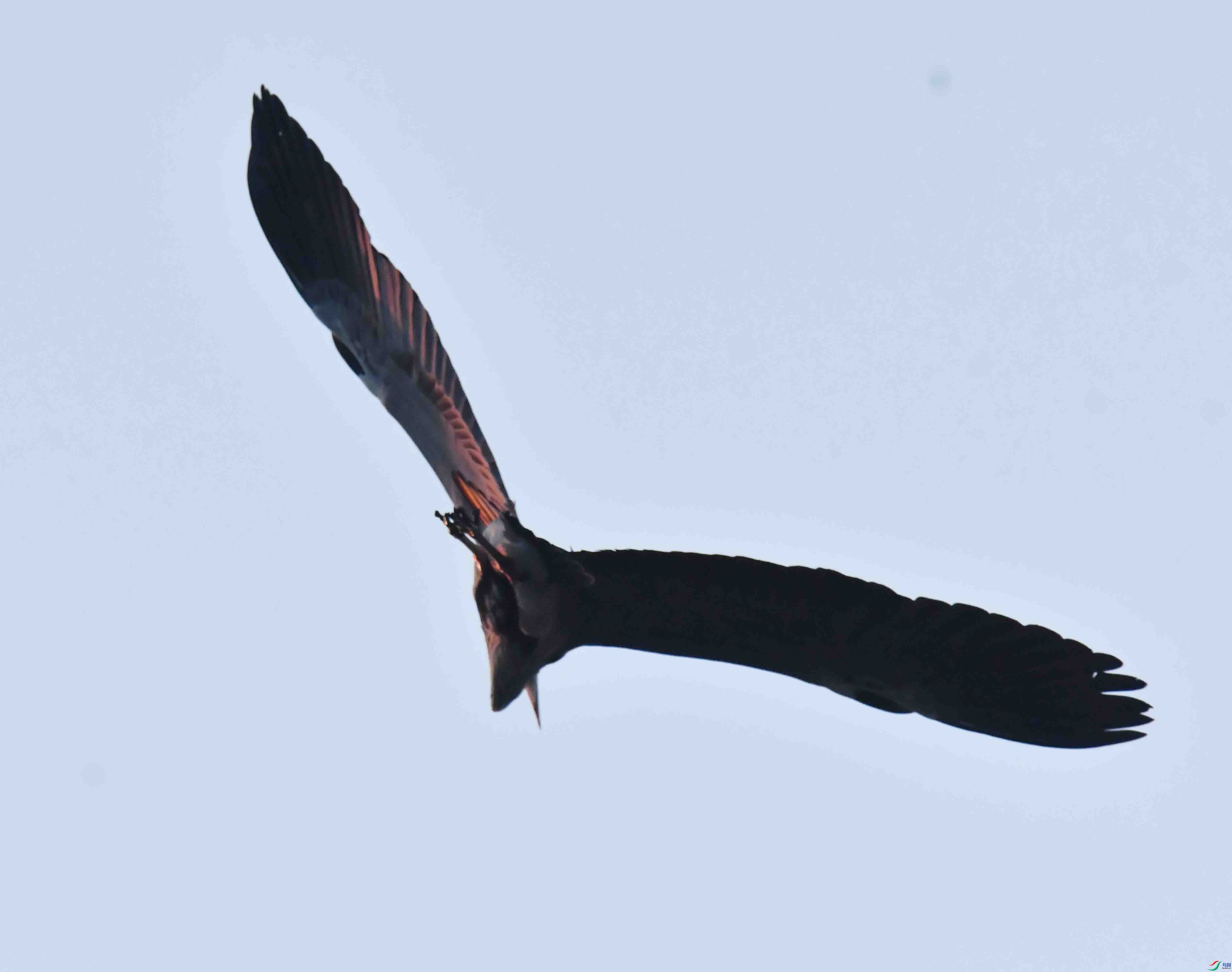 DSC_4143.JPG