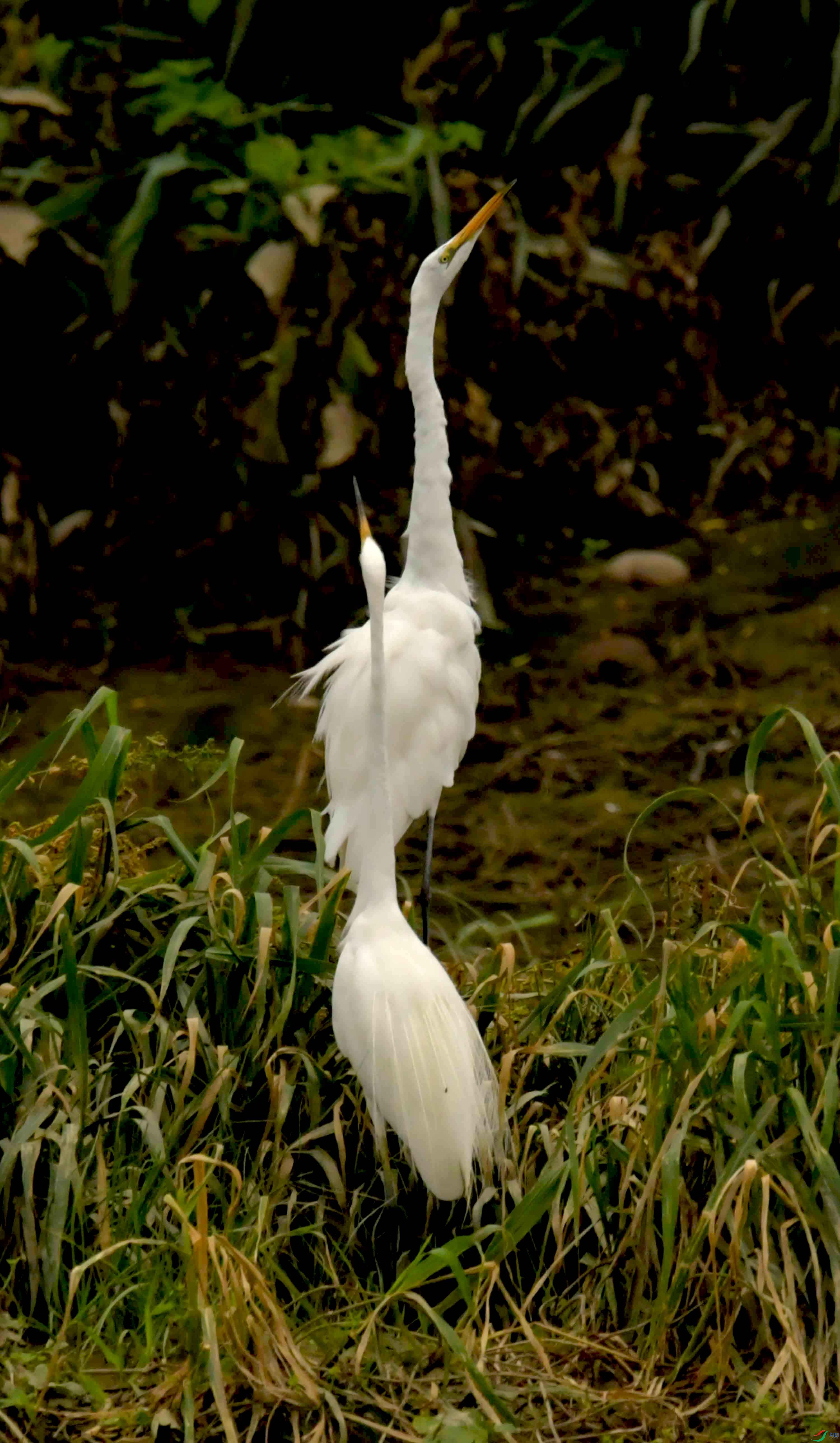 DSC_3961.JPG
