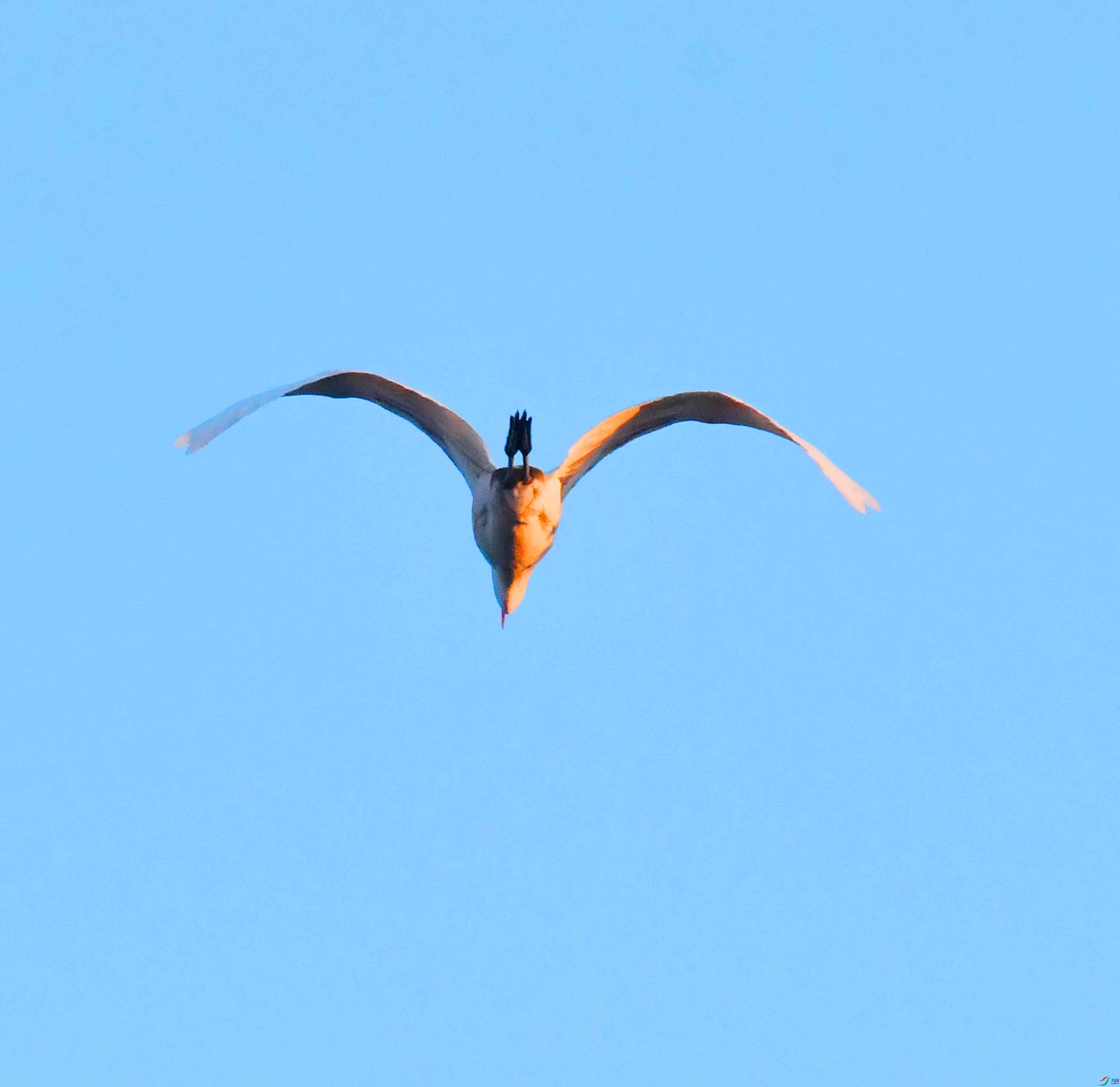 DSC_4148.JPG