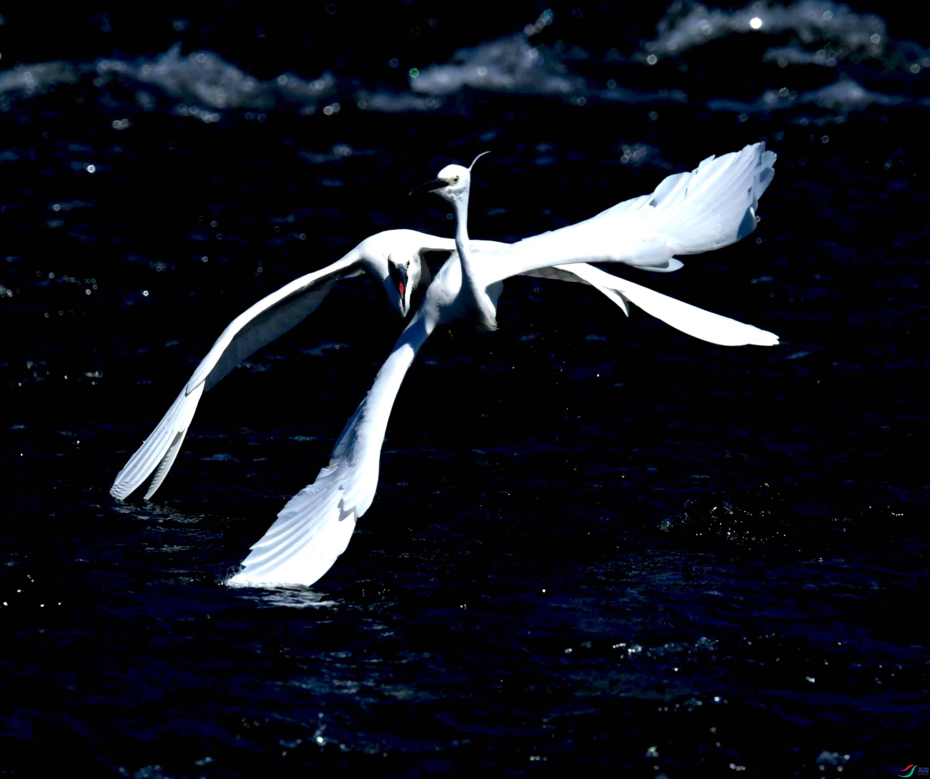 DSC_4304.JPG
