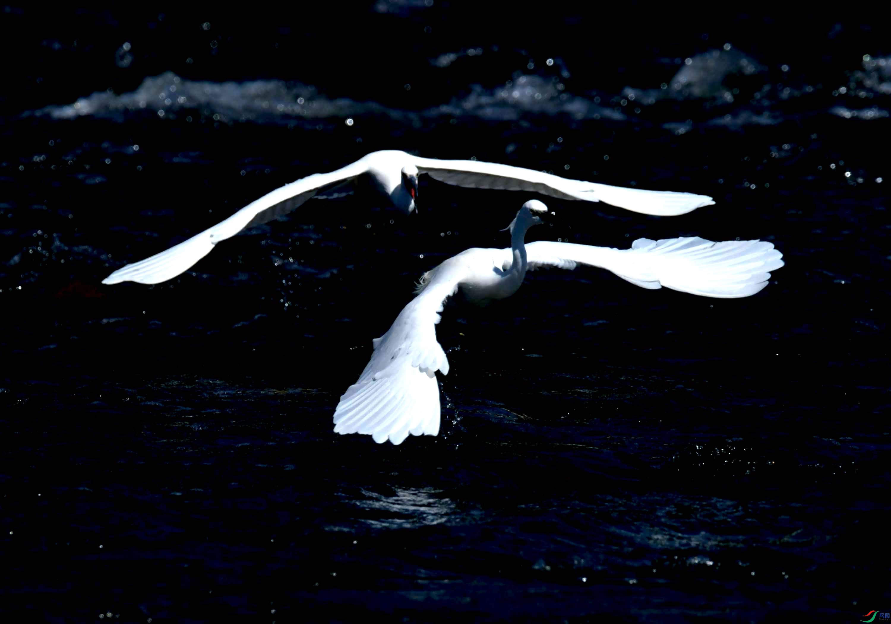 DSC_4303.JPG