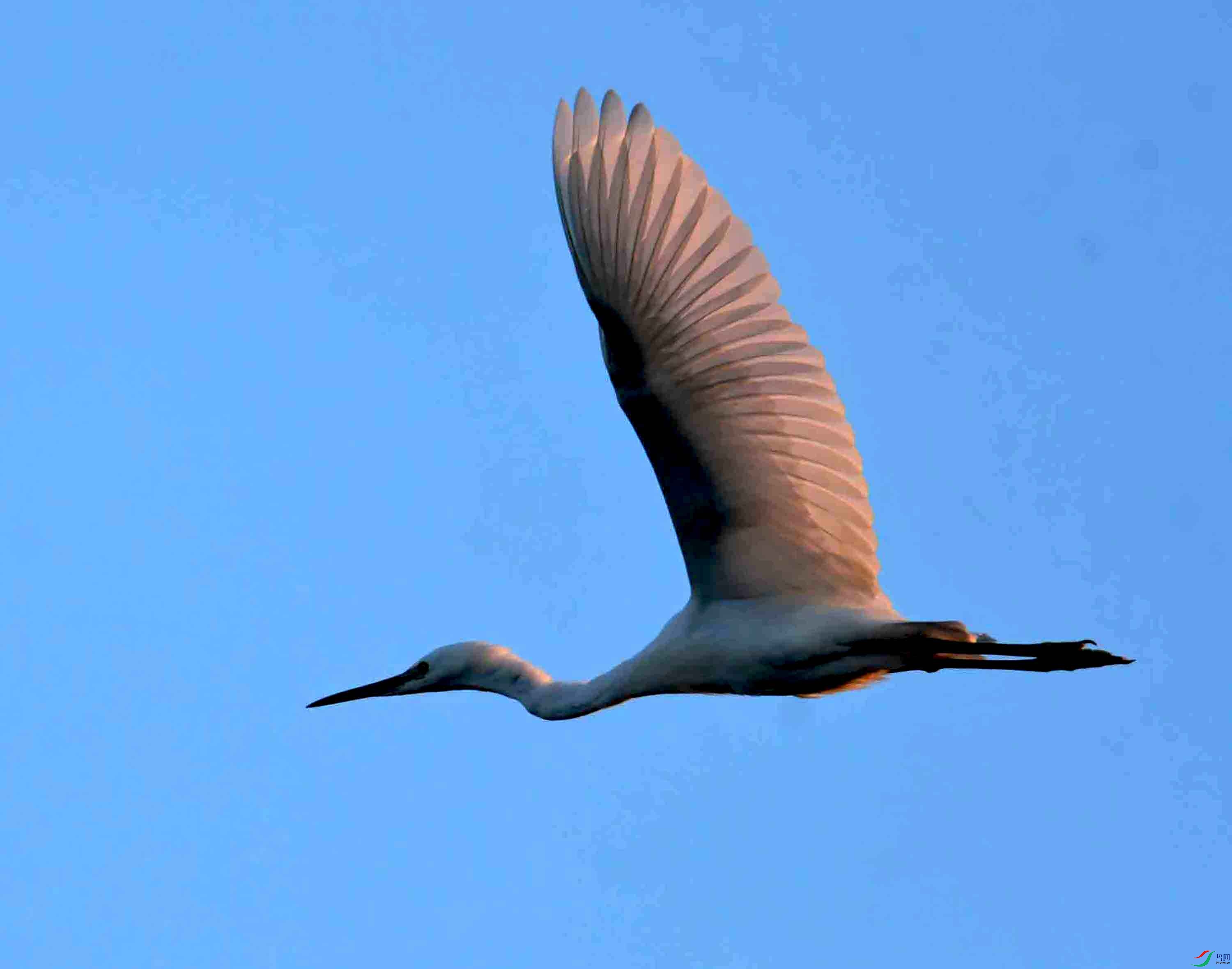 DSC_4354.JPG