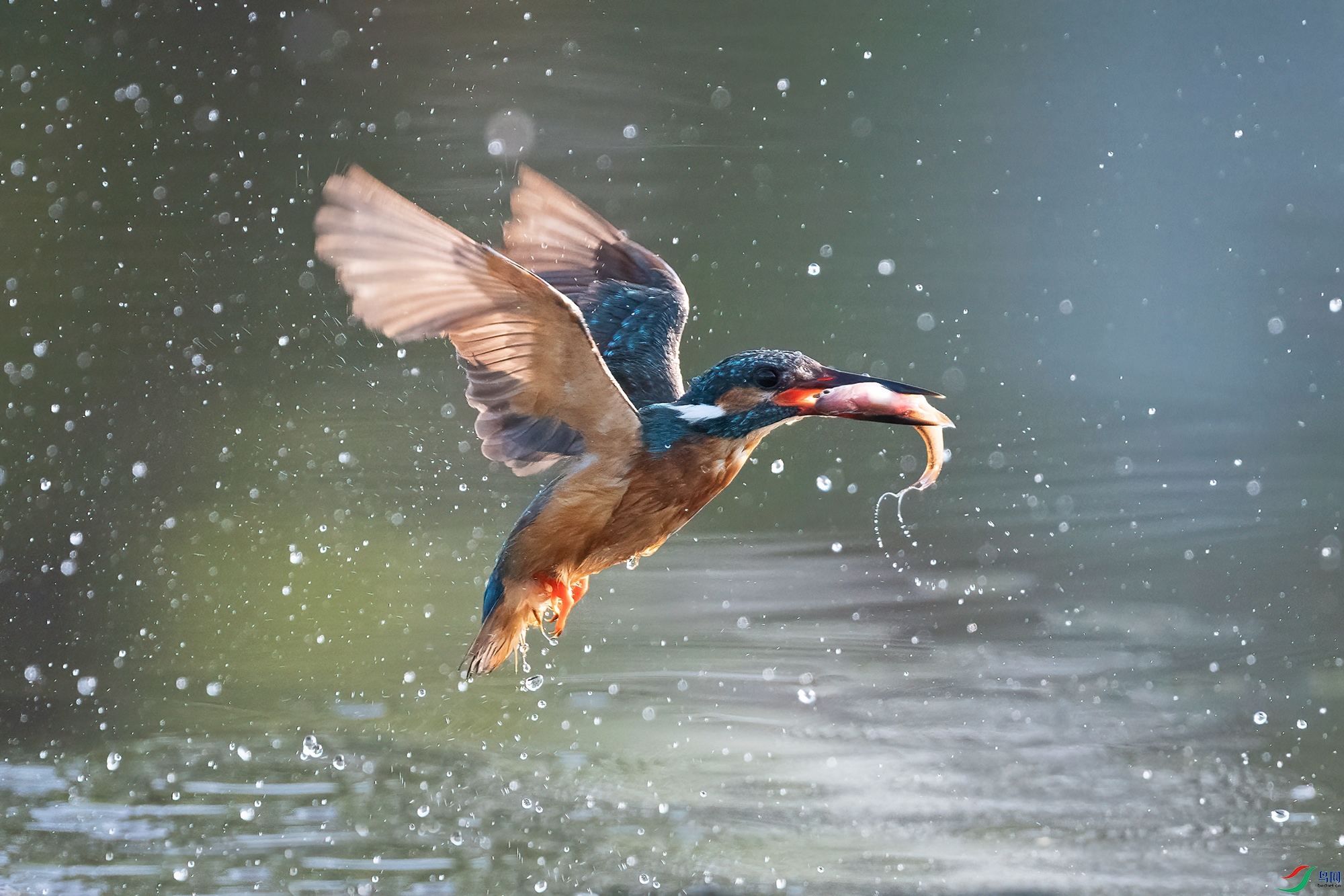DSC_7858 V.jpg