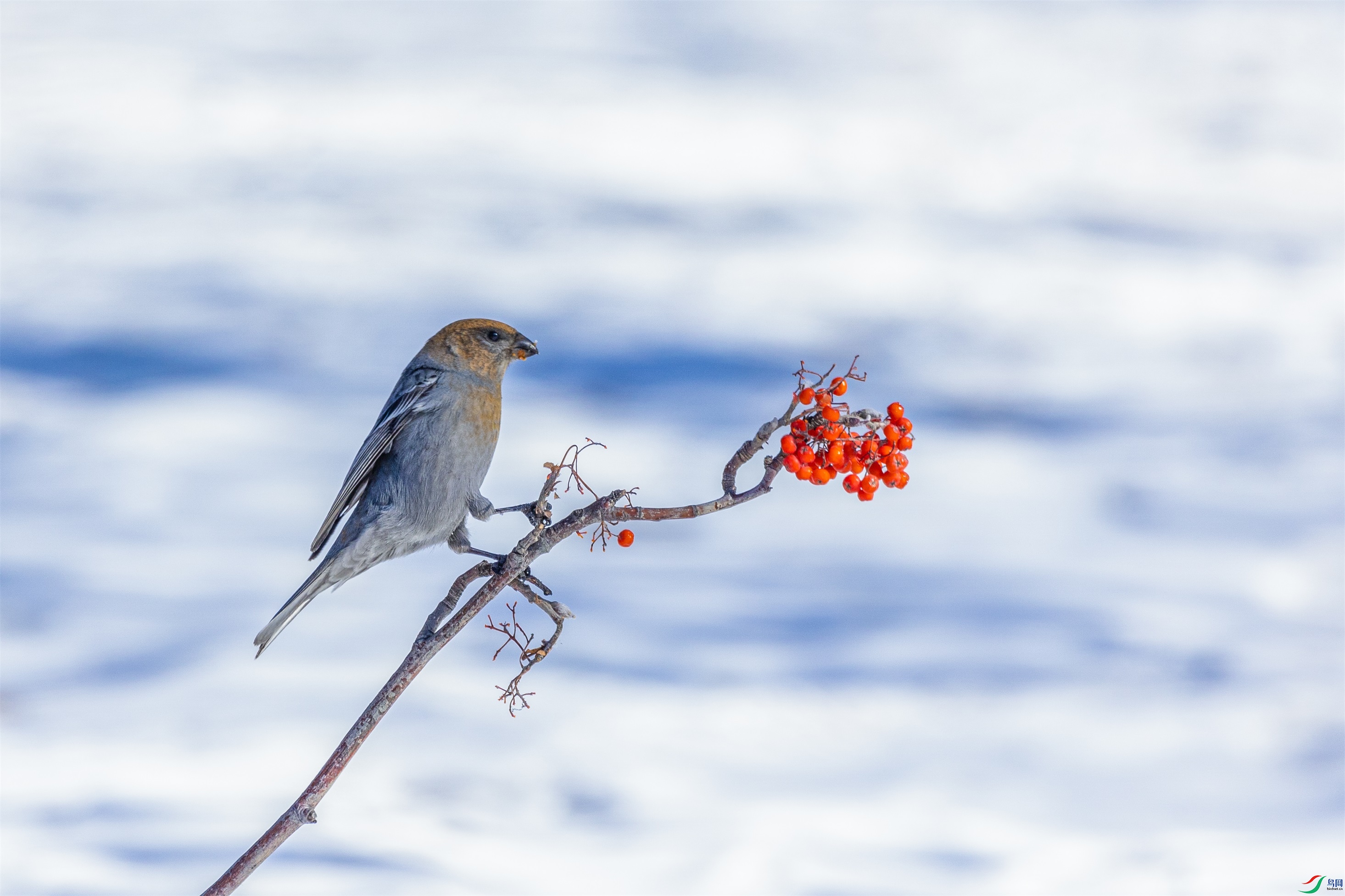 1K3A3928 ����1.jpg