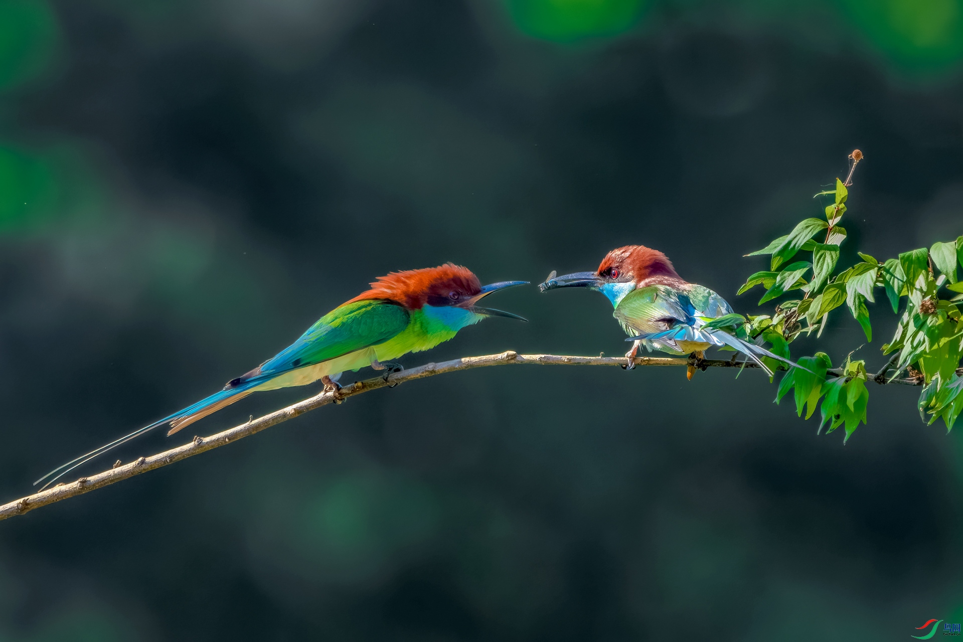 _DSC3983-����ǿ-NR ����_1.jpg