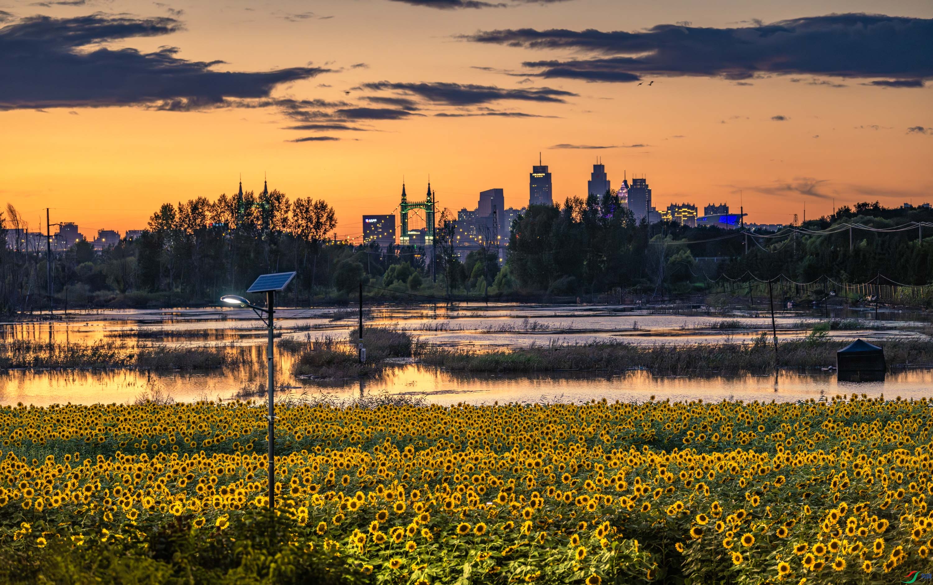 �ɻ����ϵ����տ�����