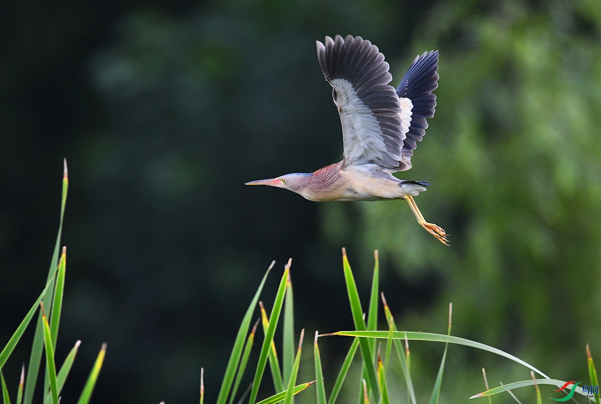 DSC_5097.JPG