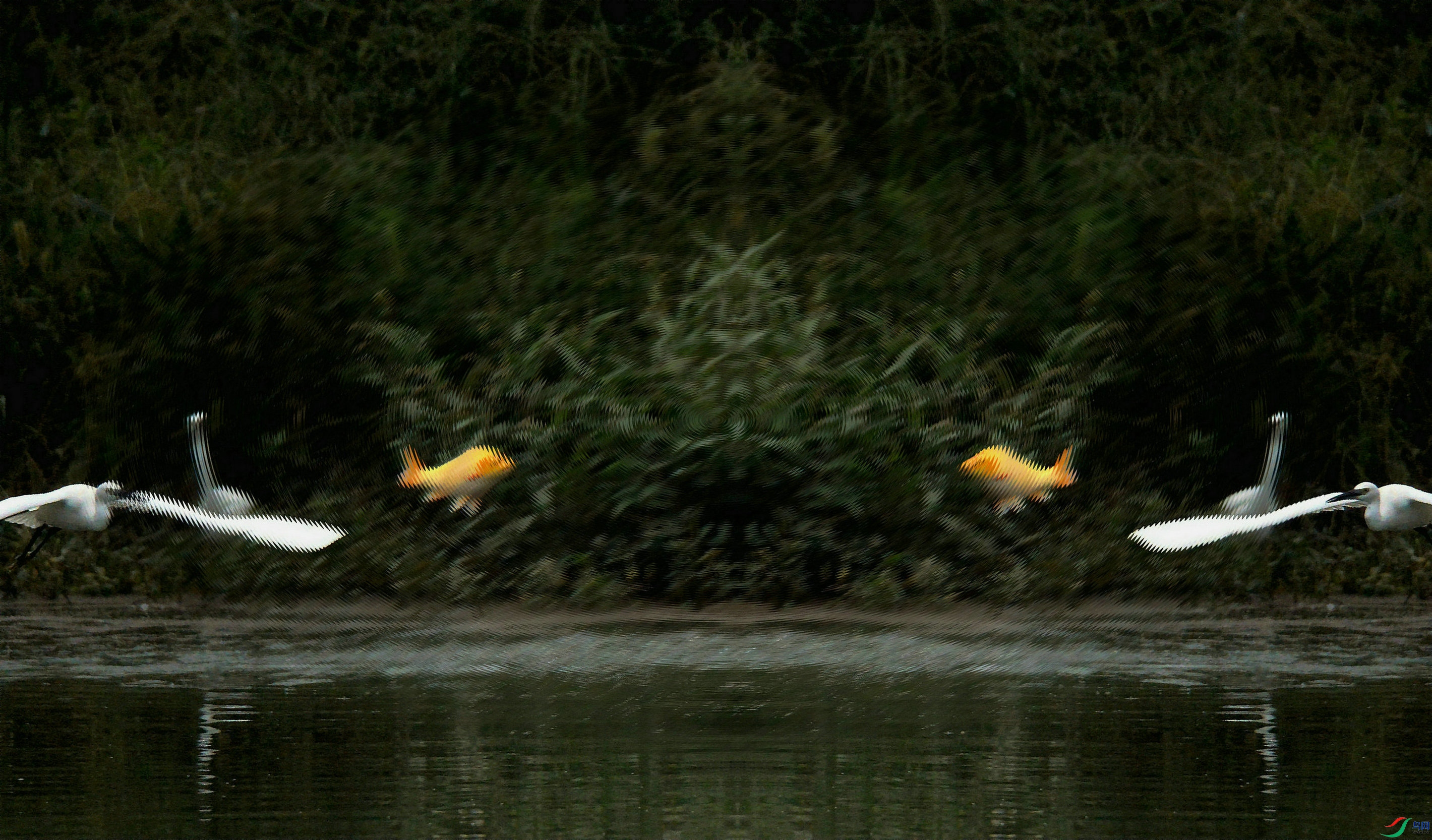 DSC_0818.jpg