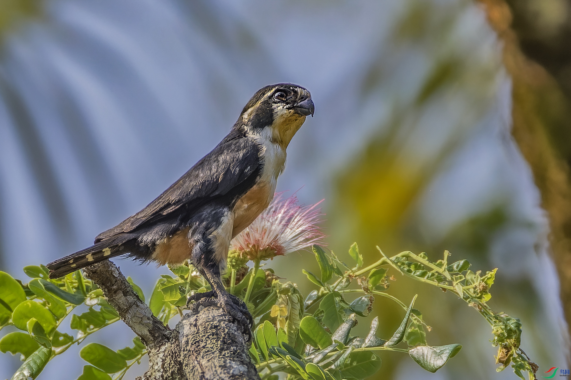 _97A6990-CR3 copy.jpg