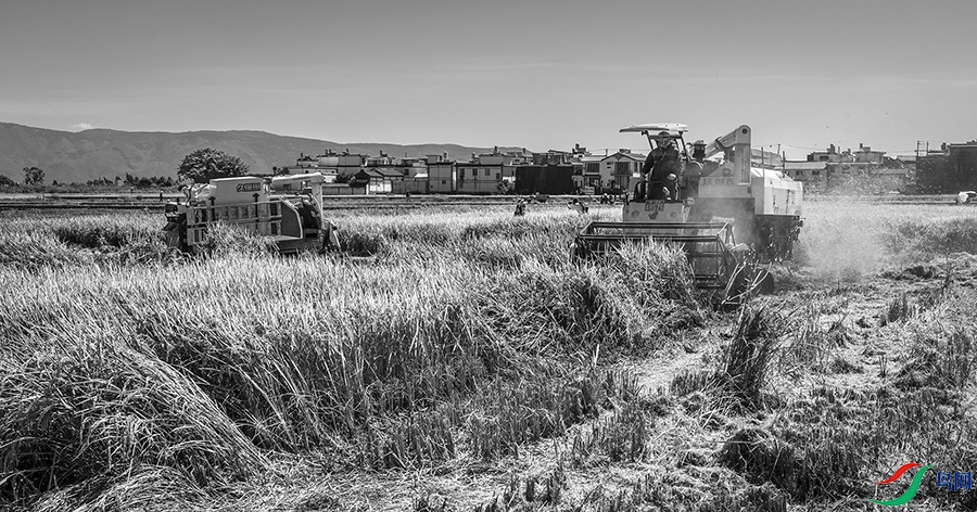 3V6A6300 ����.jpg